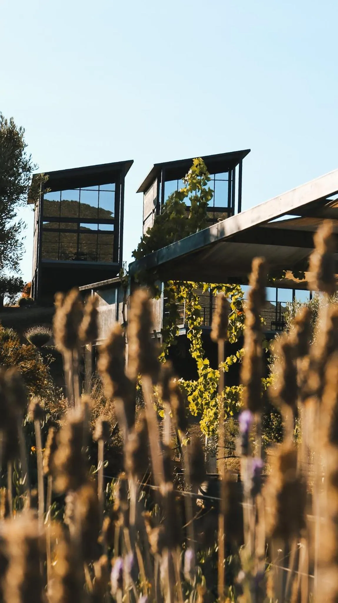 Property building in Origen75 Loft - Villas - Skypool - Viñedo, Valle de Guadalupe