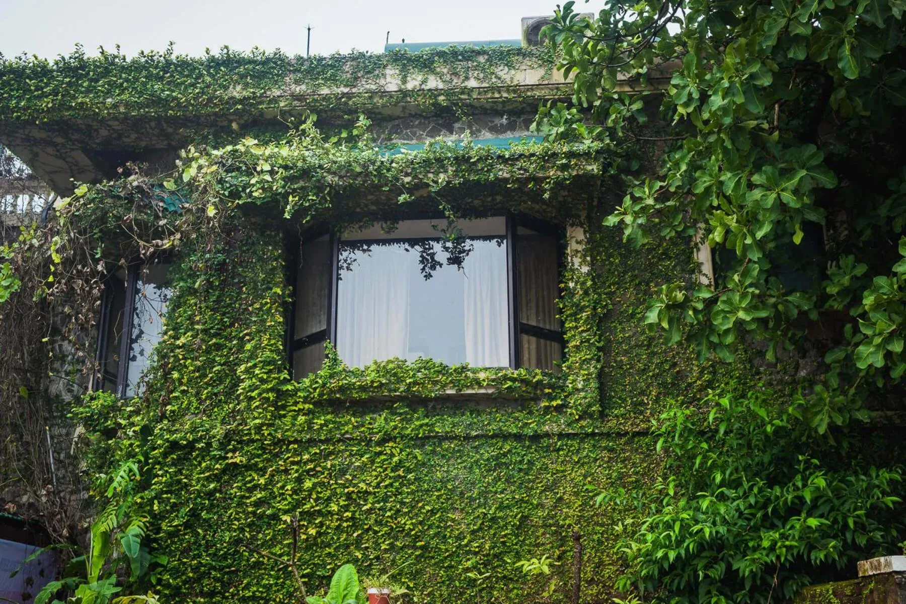 Decorative detail in Upper Deck Resort - Stay and Relax at the Highest Peak Lonavala