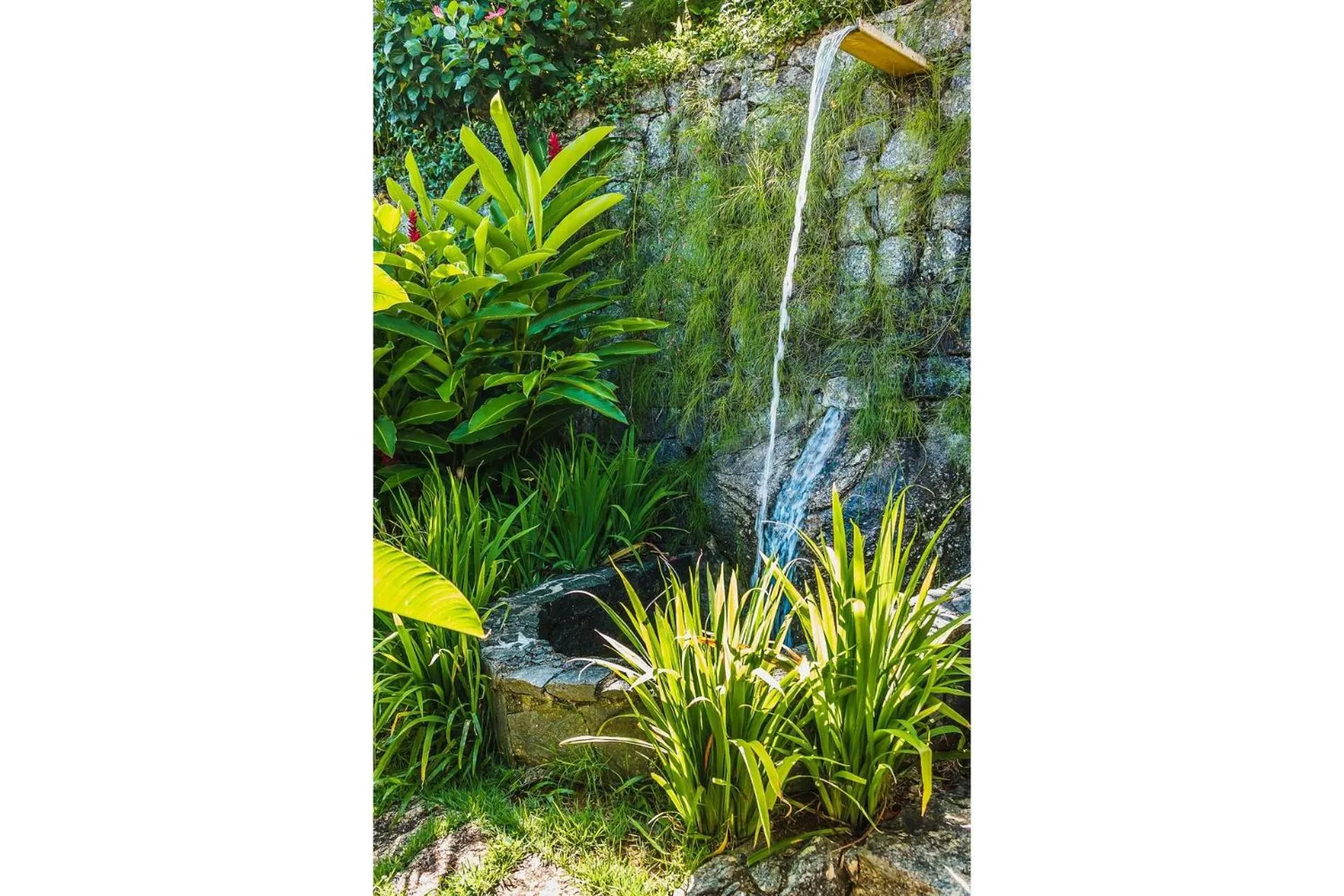 Decorative detail in Casa com piscina de borda infinita perto da praia