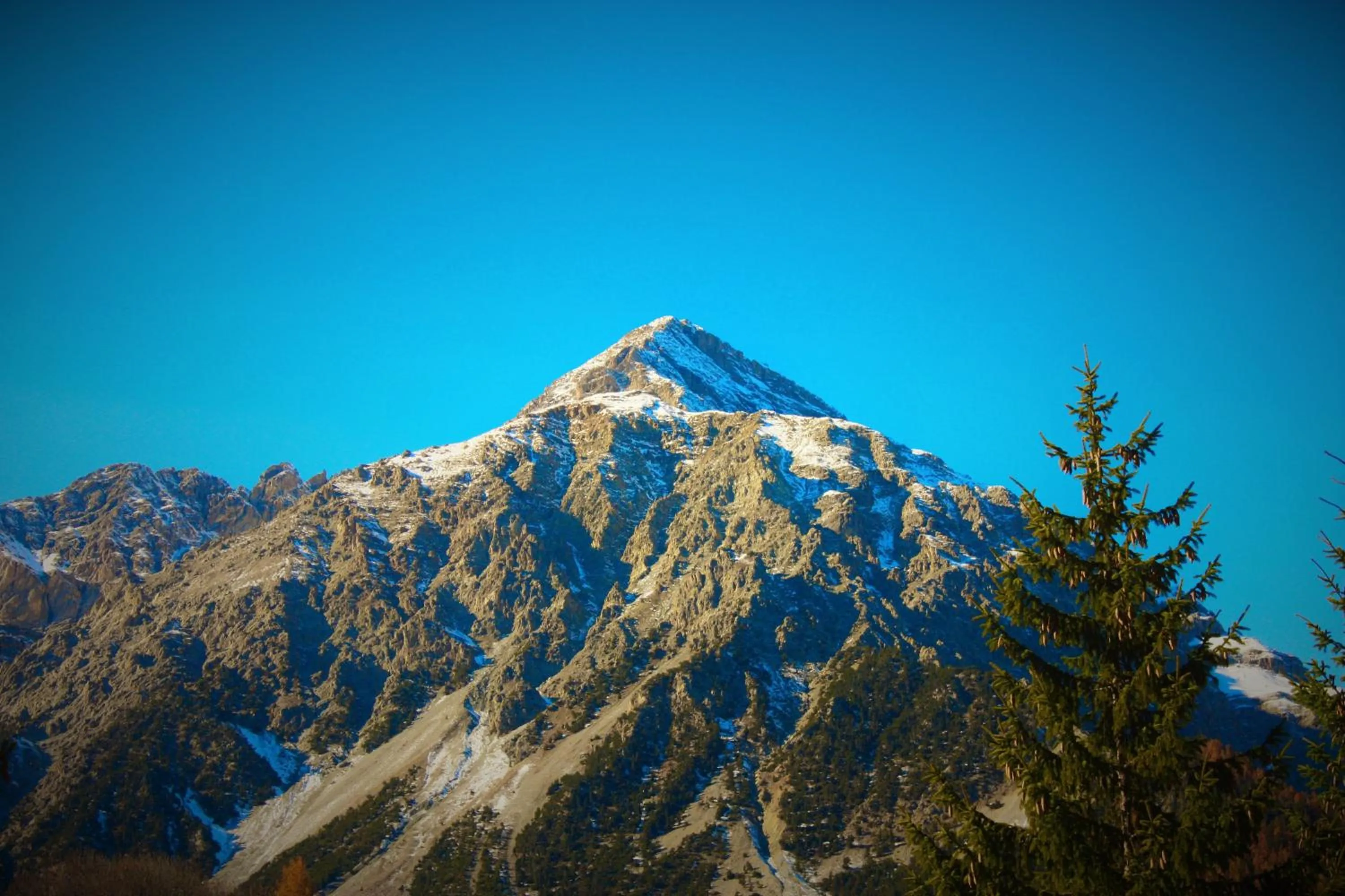 Natural landscape in Olympic Mountains