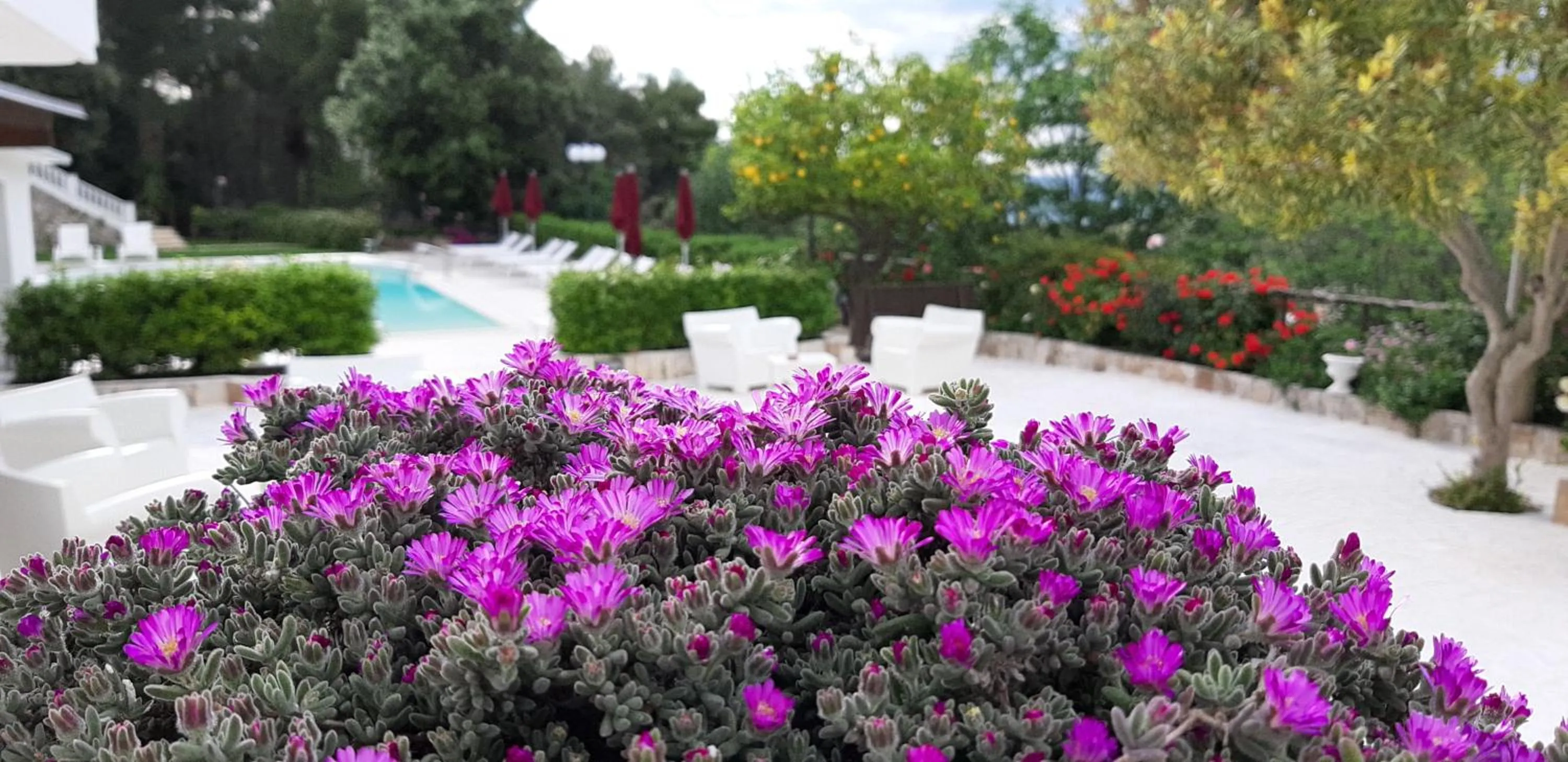 Day in La Locanda della Castellana adults only