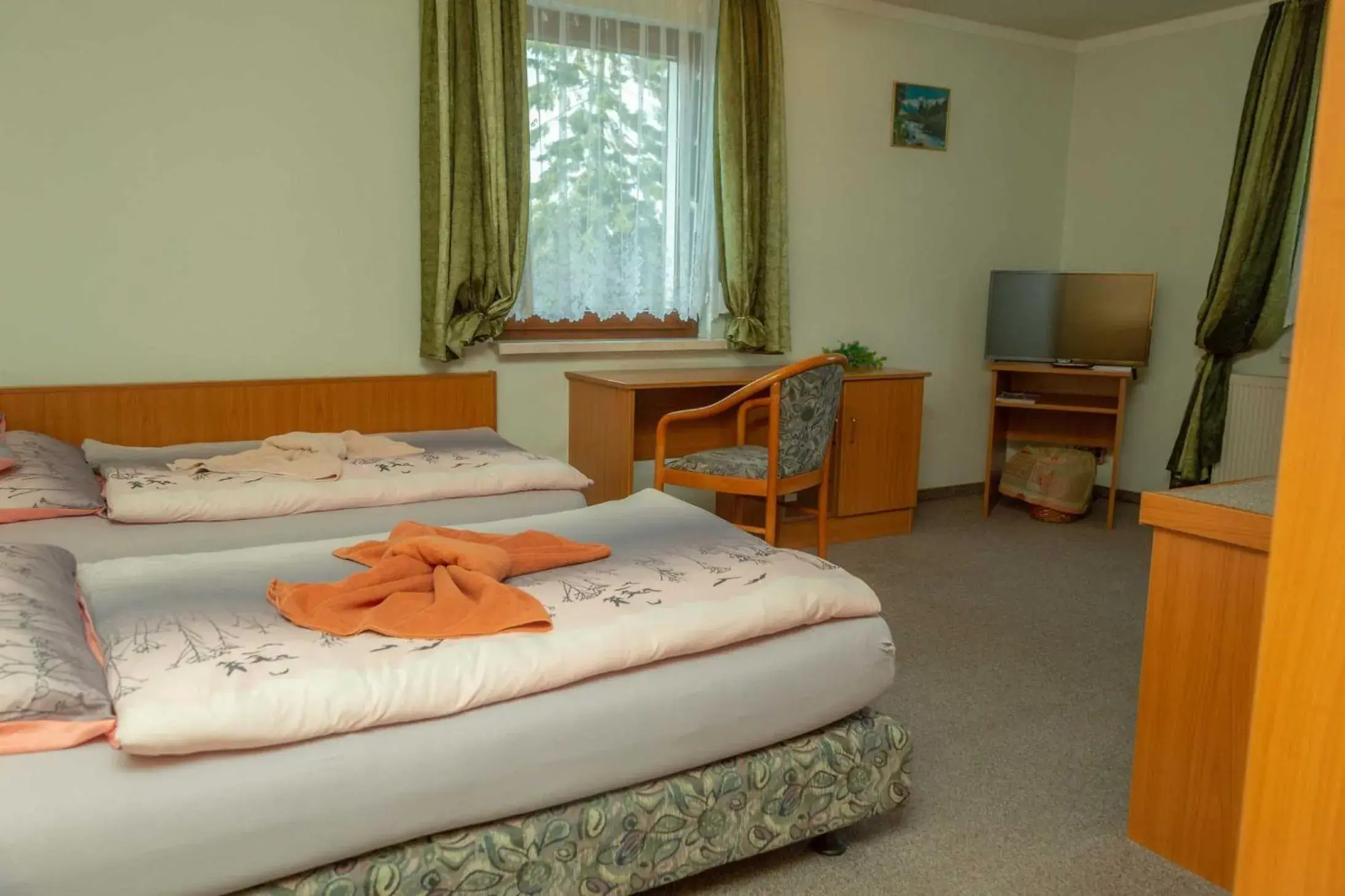 Double Room - single occupancy in Pension zum Schwanenteich Double Room - single occupancy in Pension zum Schwanenteich