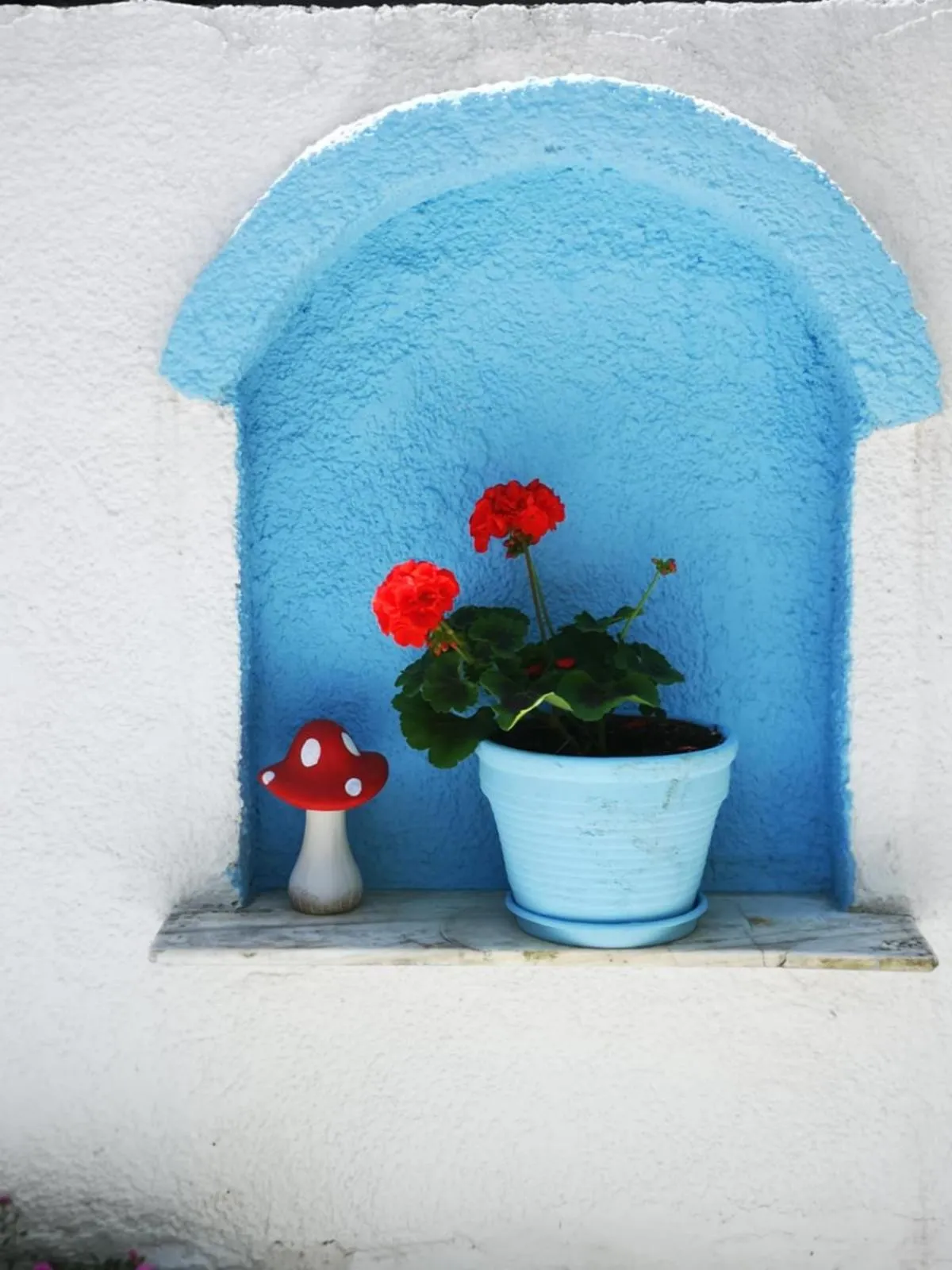 Garden in PIERIA MARE