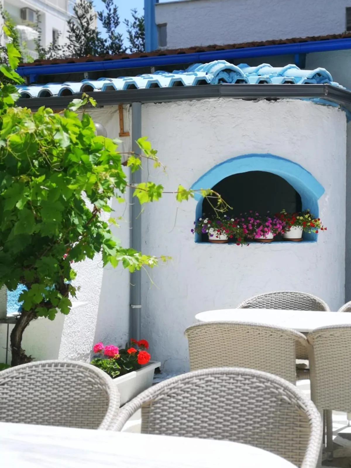 Garden in PIERIA MARE