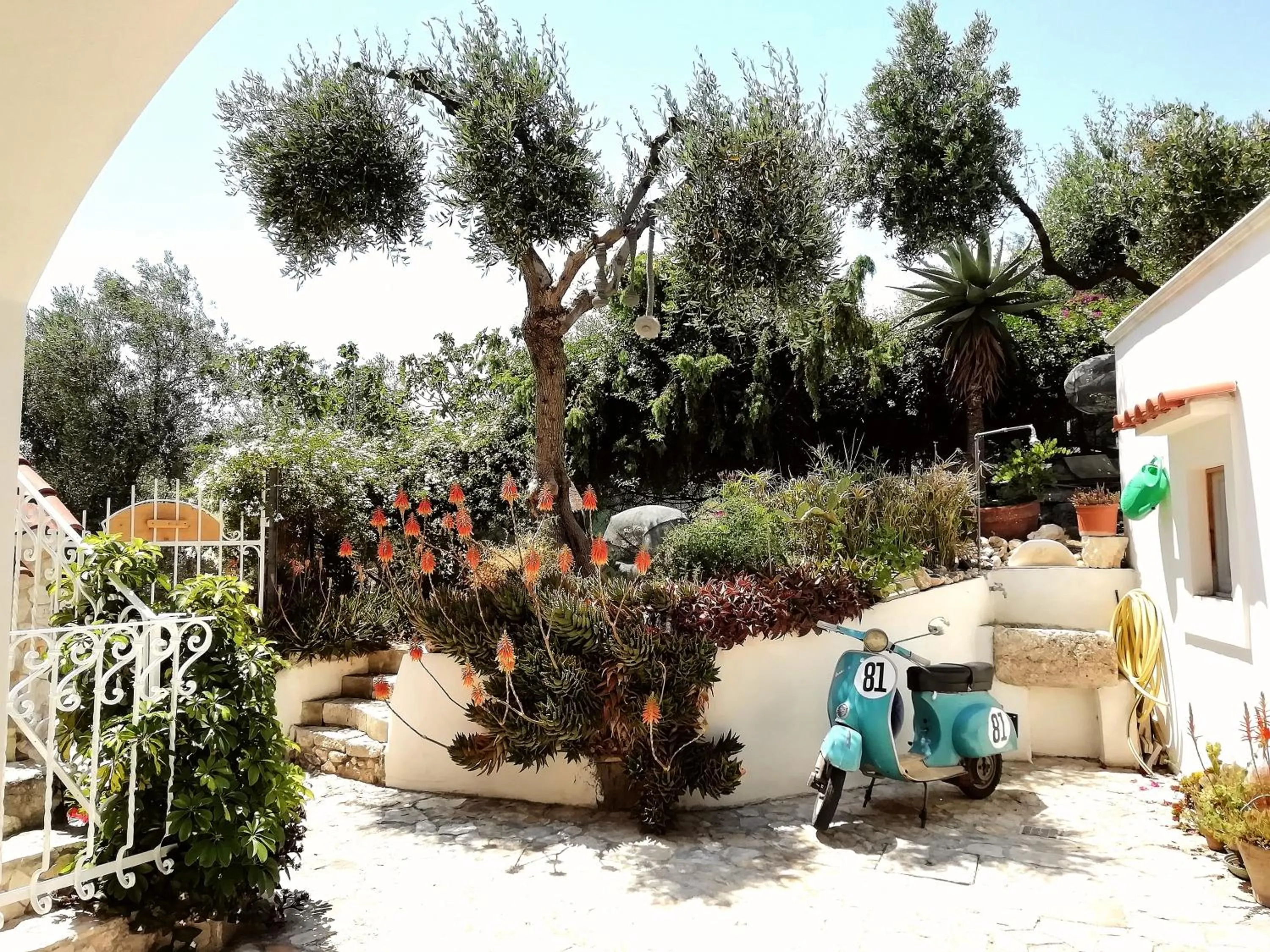 Garden in B&B L'Altare Bianco