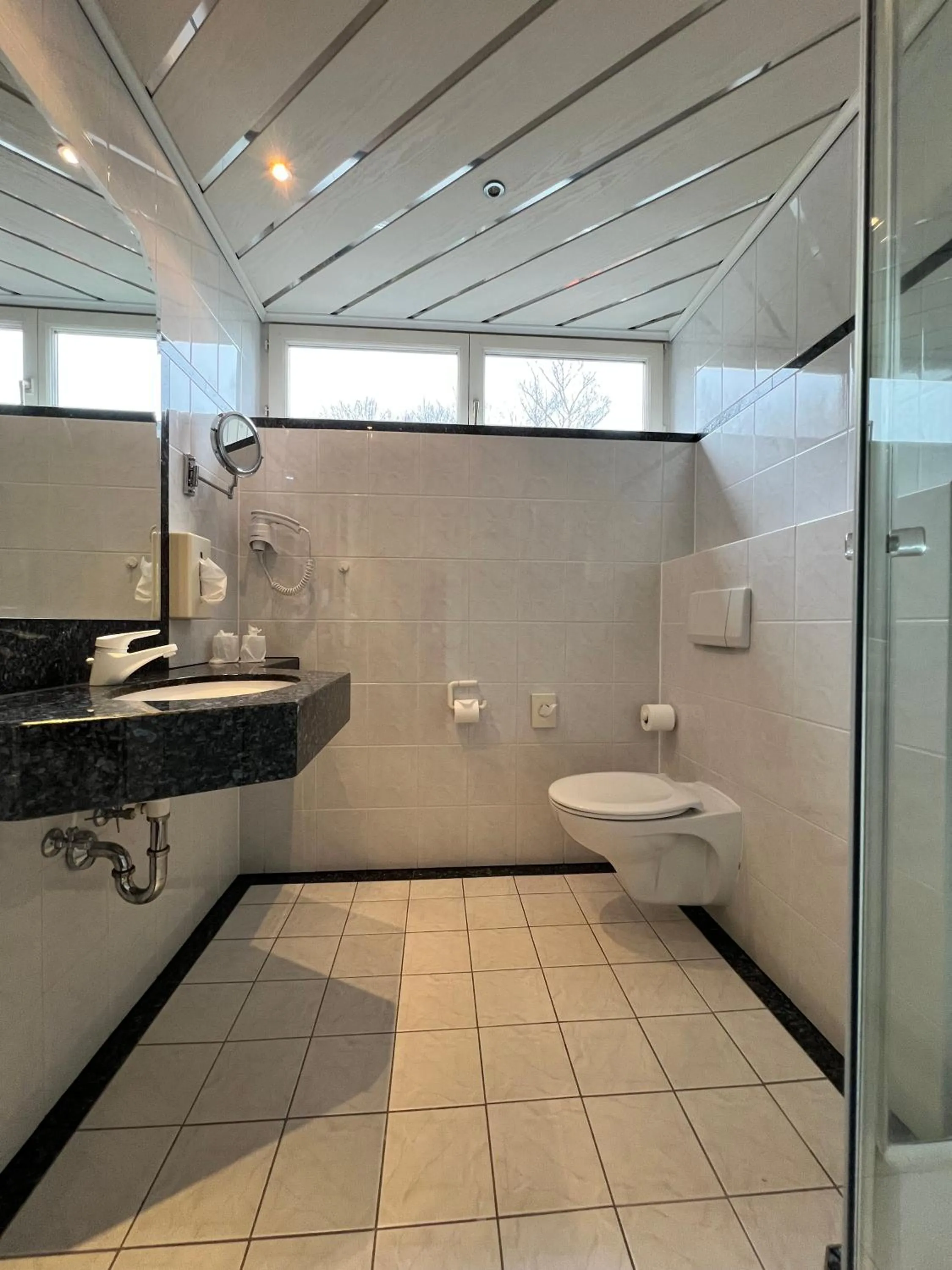 Toilet in PANORAMA Hotel Heimbuchenthal