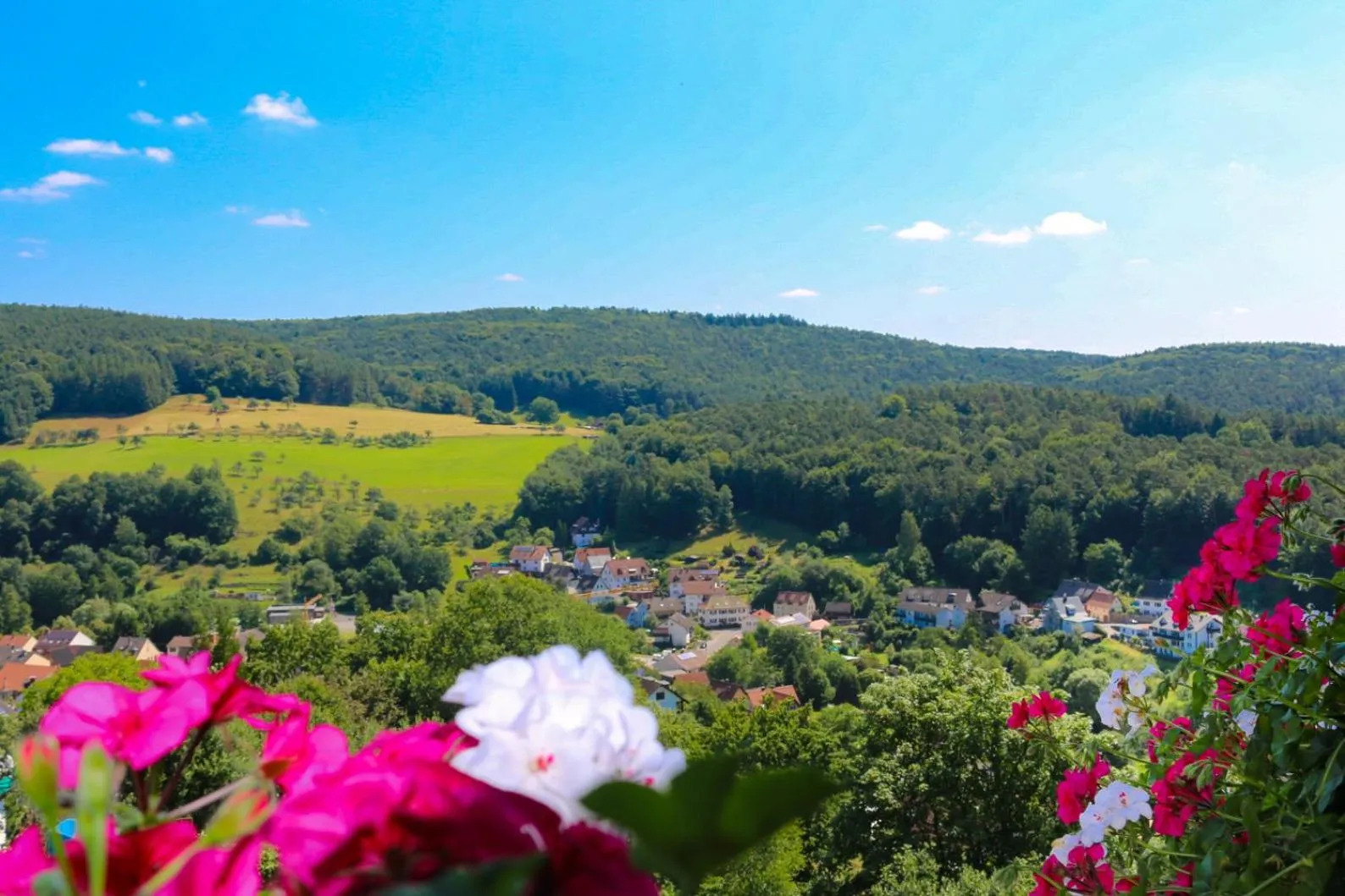 Natural landscape in PANORAMA Hotel Heimbuchenthal