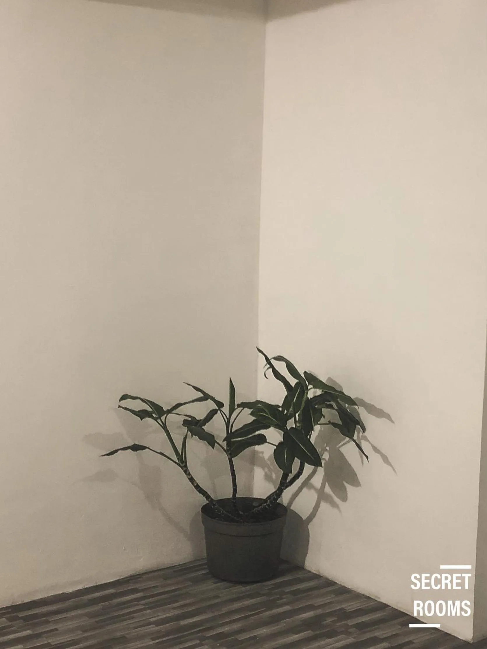 Bedroom in The Jarrdin Apartement by Secret Rooms