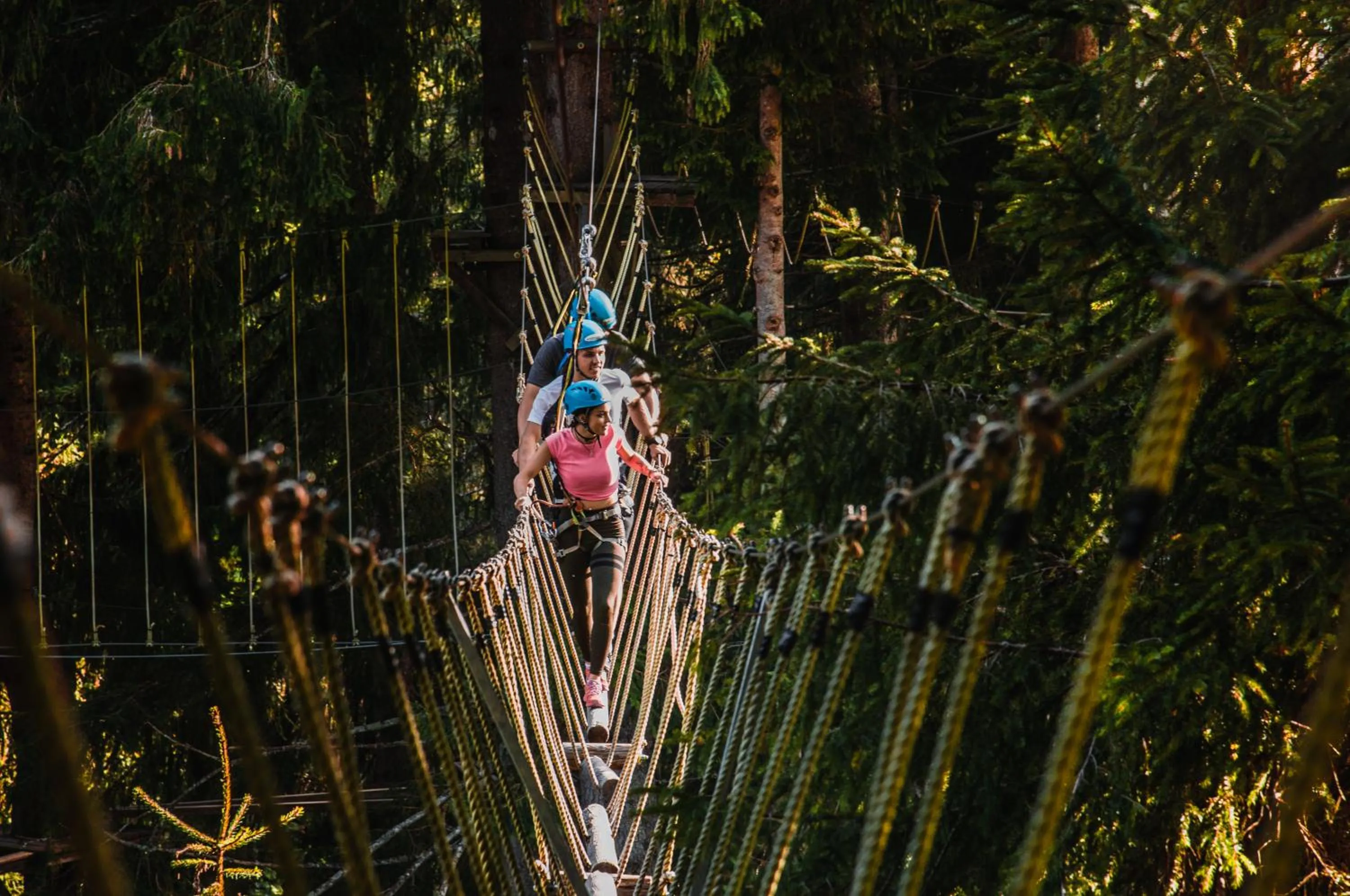 Activities in Wieshofgut