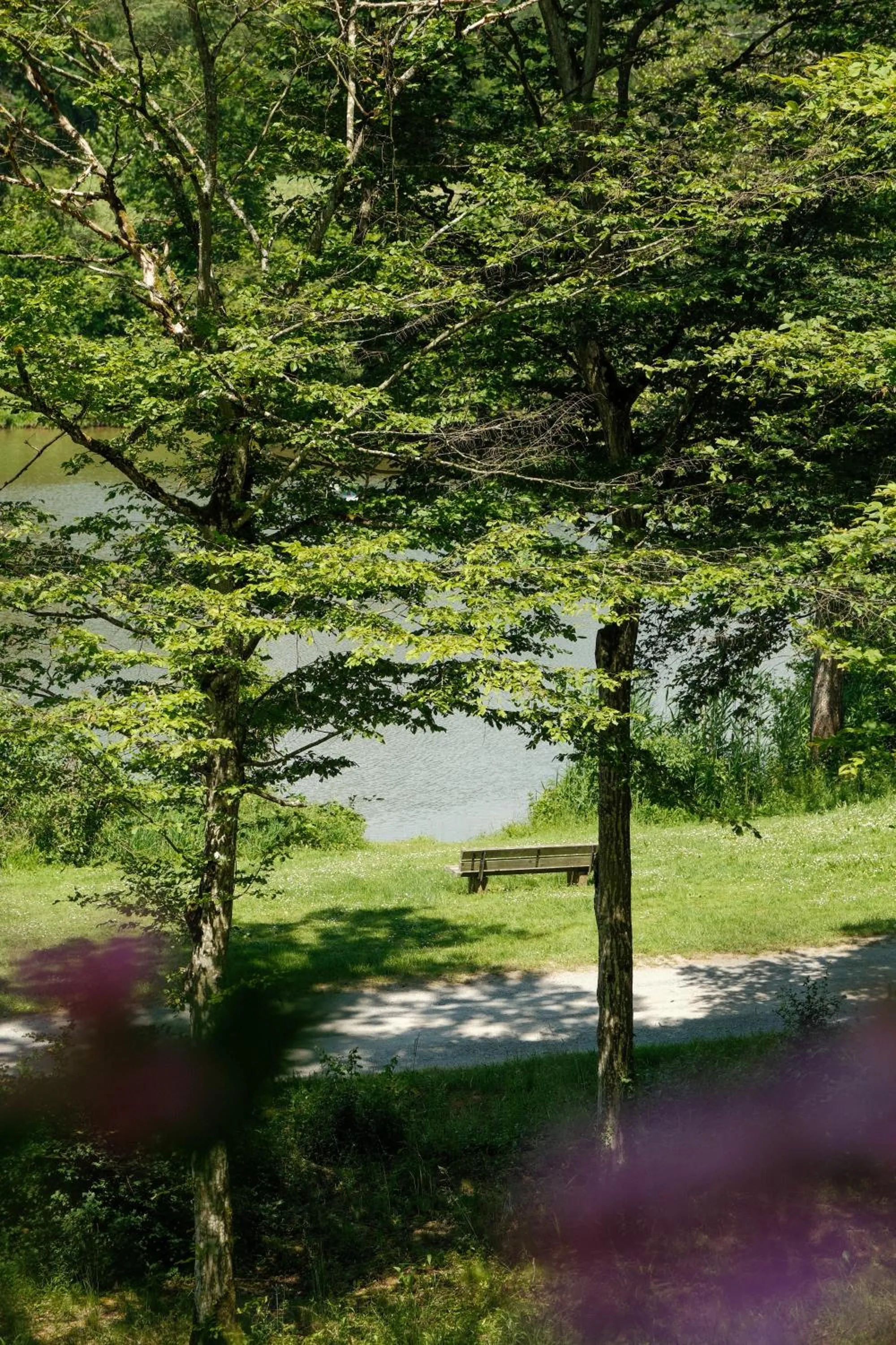 Natural landscape in Hotel-Restaurant Kreuzberghof Tagungs- und Veranstaltungshotel