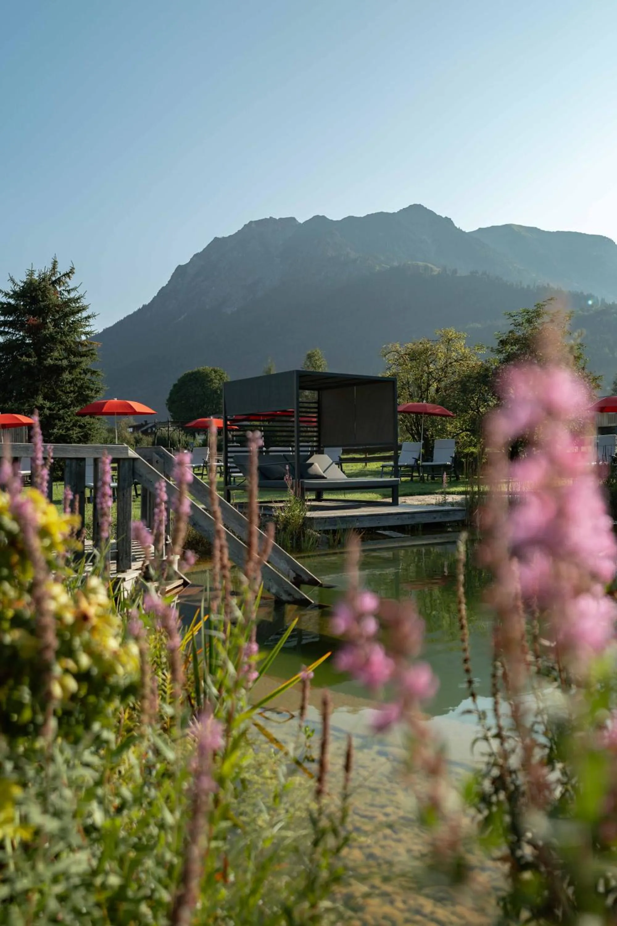 Swimming pool in Hotel Franks