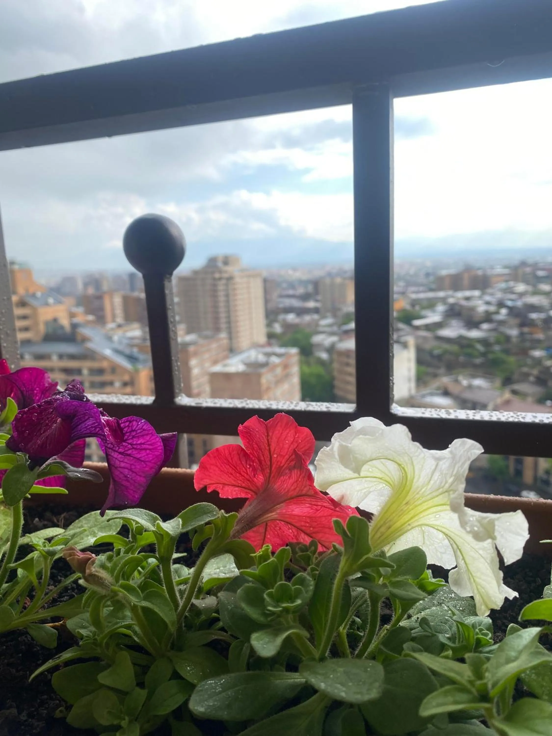 Balcony/Terrace in Rooftop Apart-Hotel
