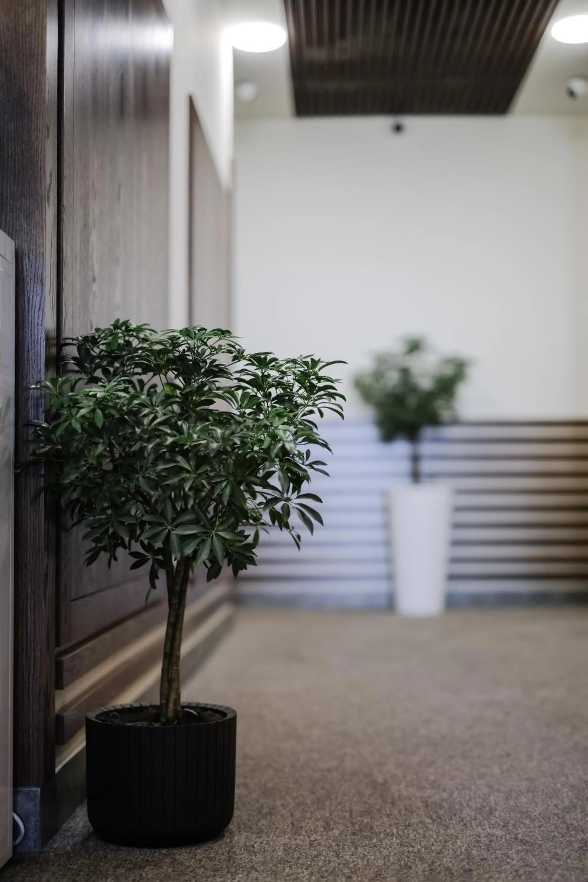 Area and facilities in Rooftop Apart-Hotel