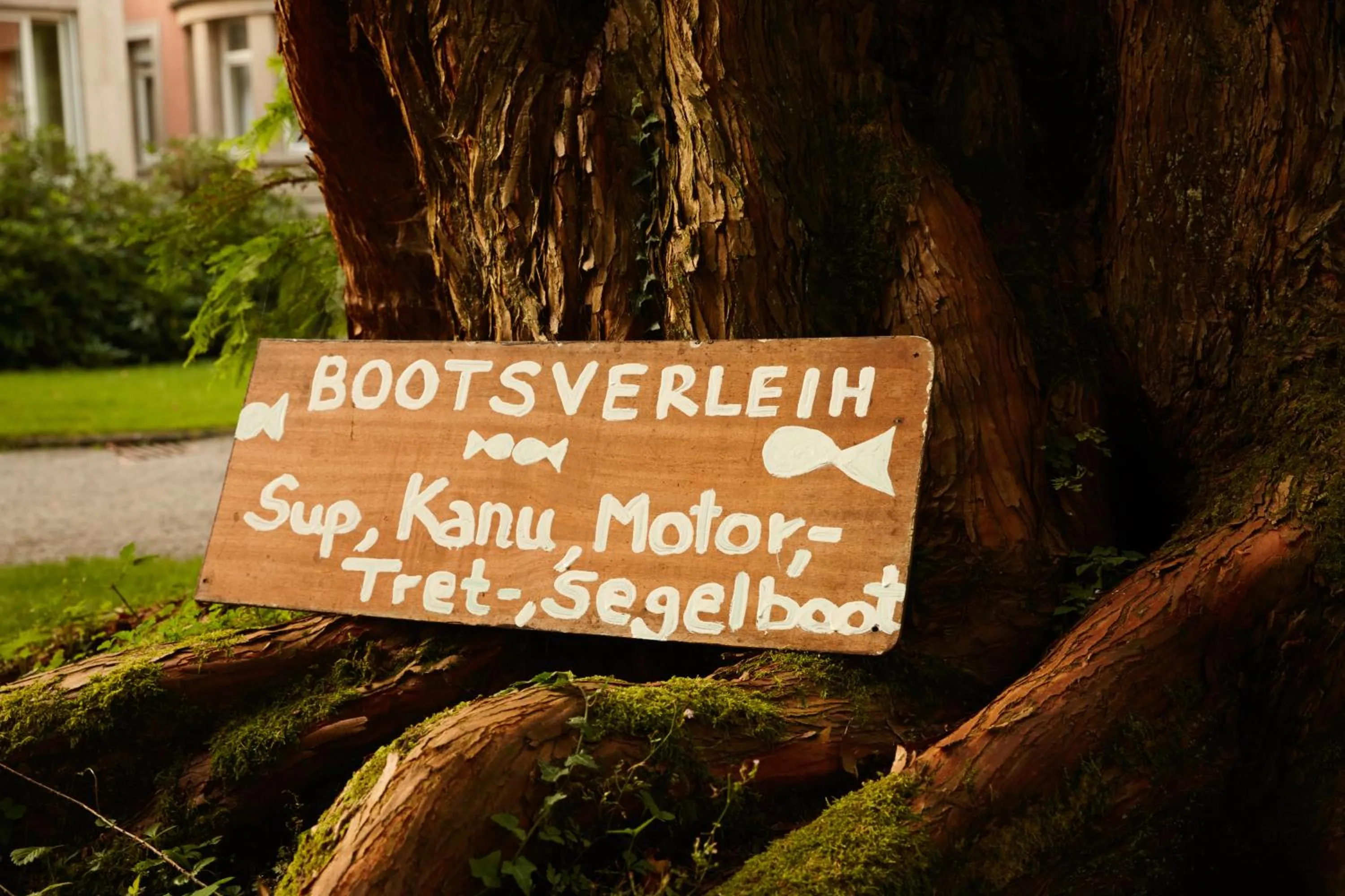 Sports in Hotel Bad Schachen