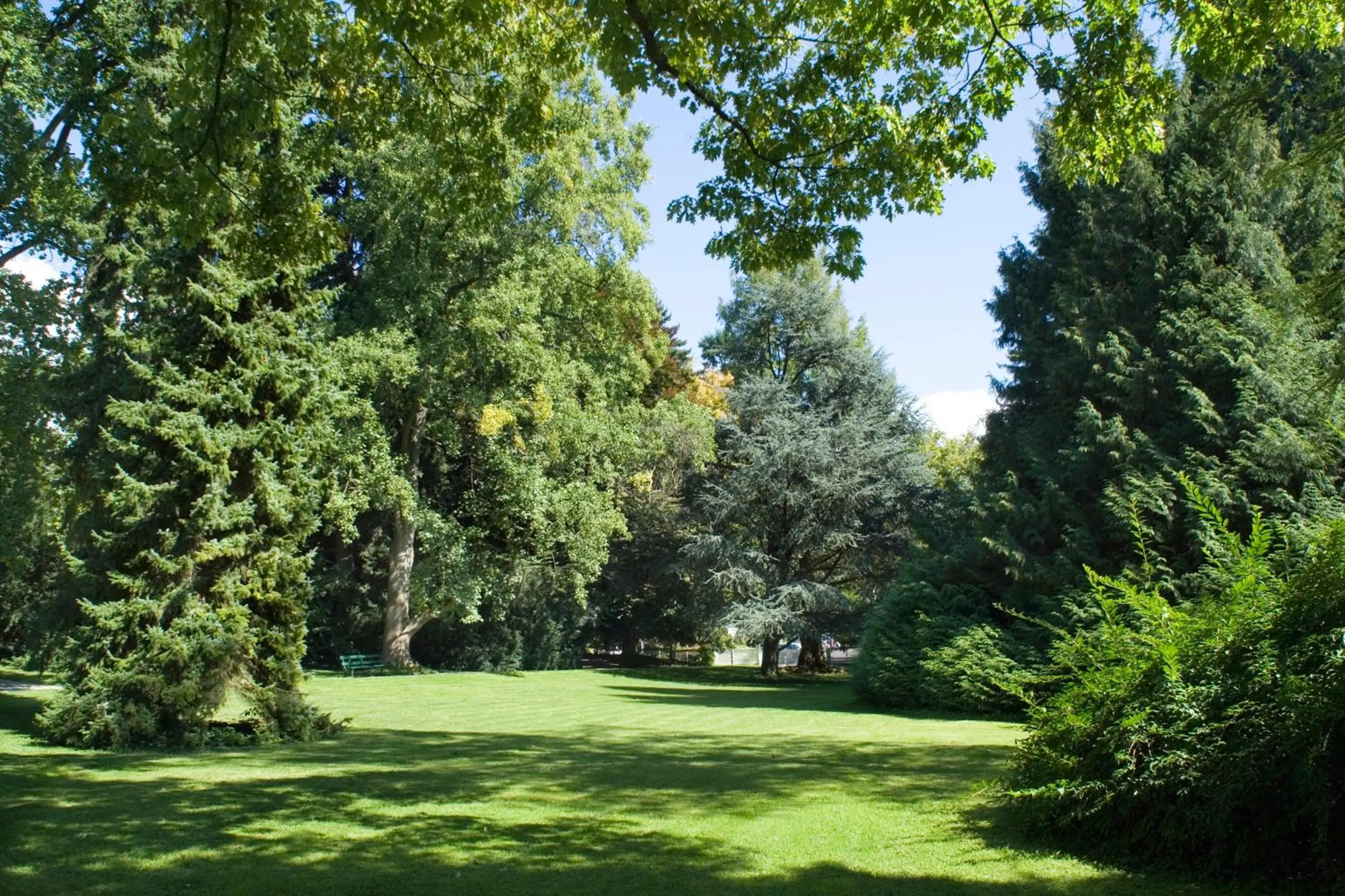 Garden in Hotel Bad Schachen