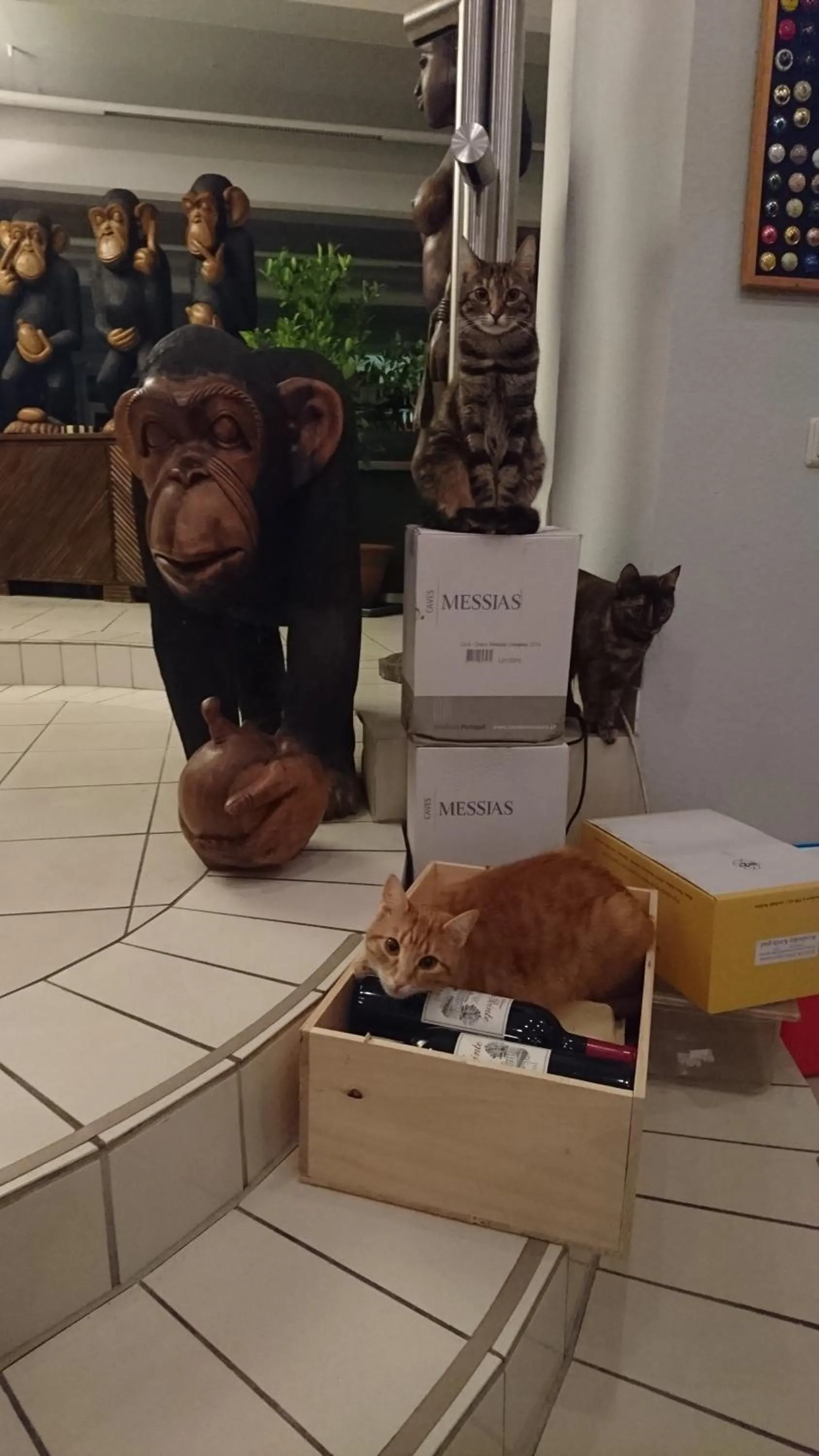 Pets in Wein-Hotel Auberge Mistral