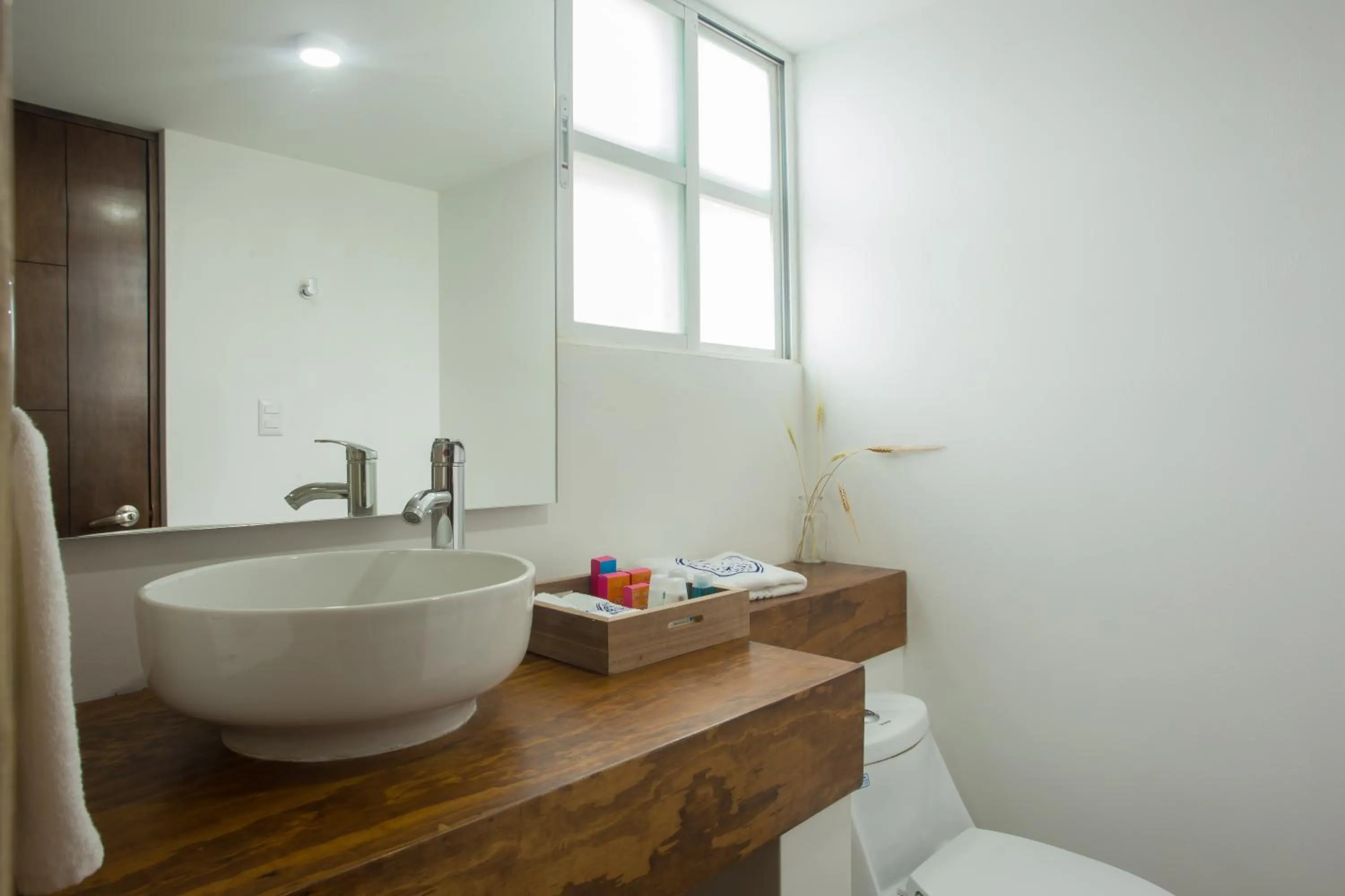 Toilet in Saint George Hotel - Spa & Temazcal