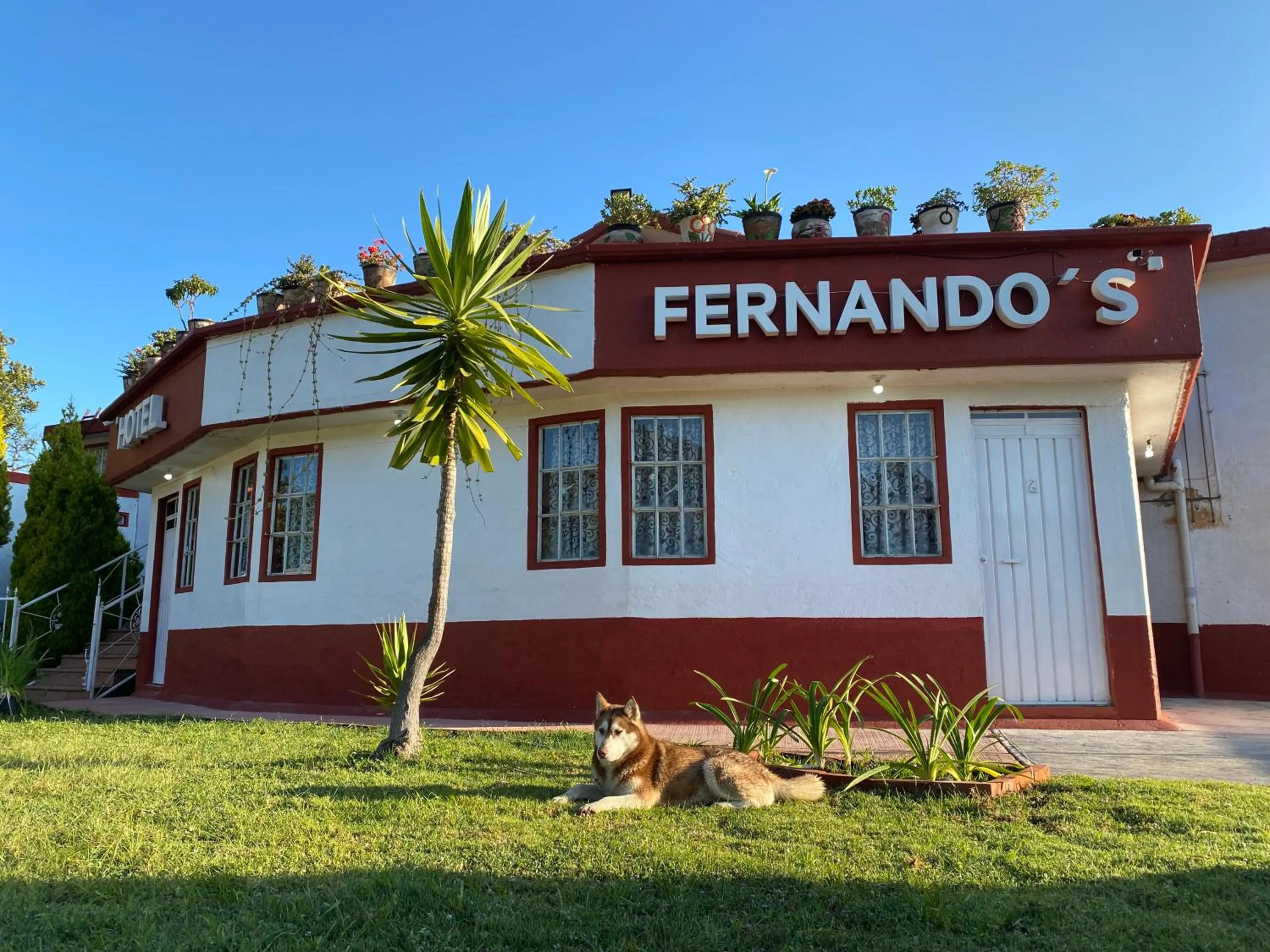 Hotel Fernando´s