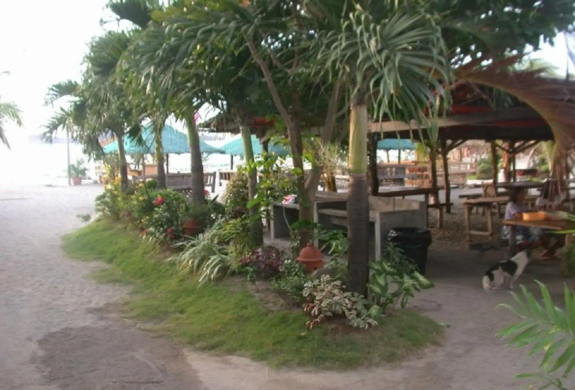 Garden in RedDoorz Hostel at Megans Paradisio Beach Resort Garden in RedDoorz Hostel at Megans Paradisio Beach Resort