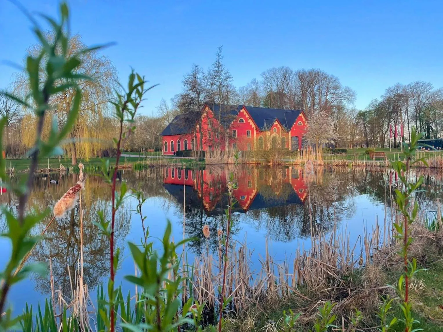 Restaurant/places to eat in Schlossgut Gross Schwansee