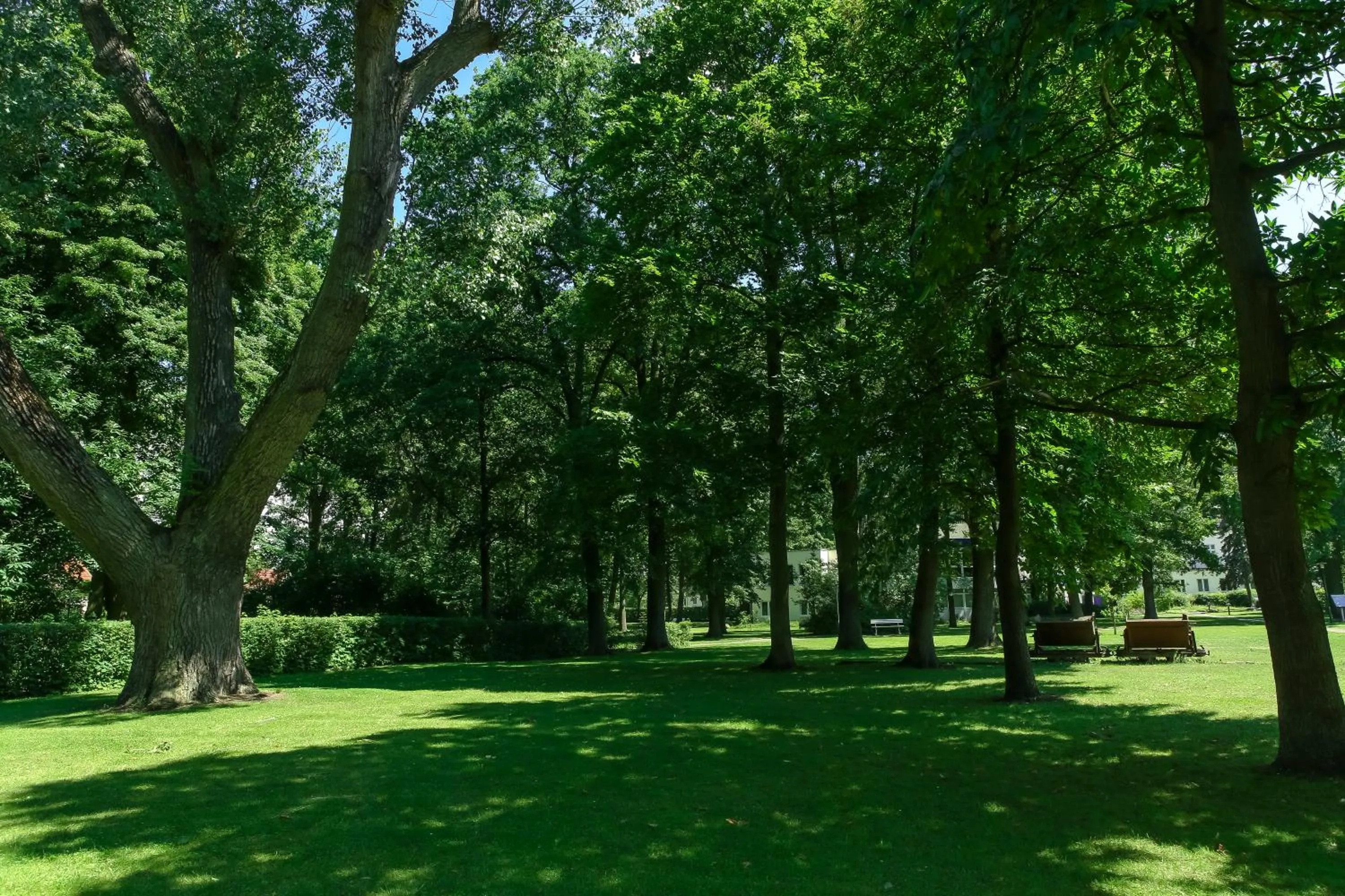 Garden in Ringhotel VITALHOTEL ambiente