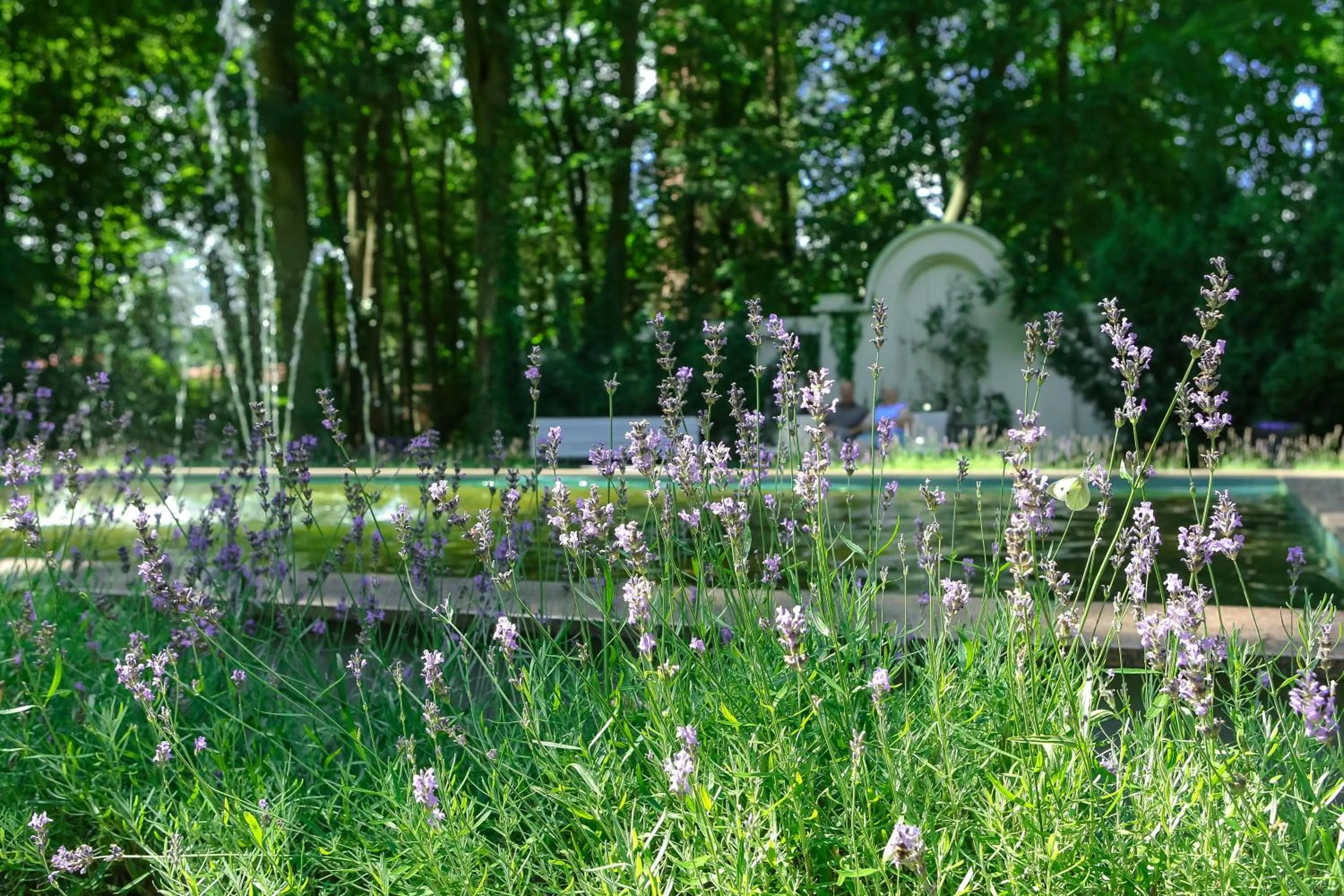 Garden in Ringhotel VITALHOTEL ambiente