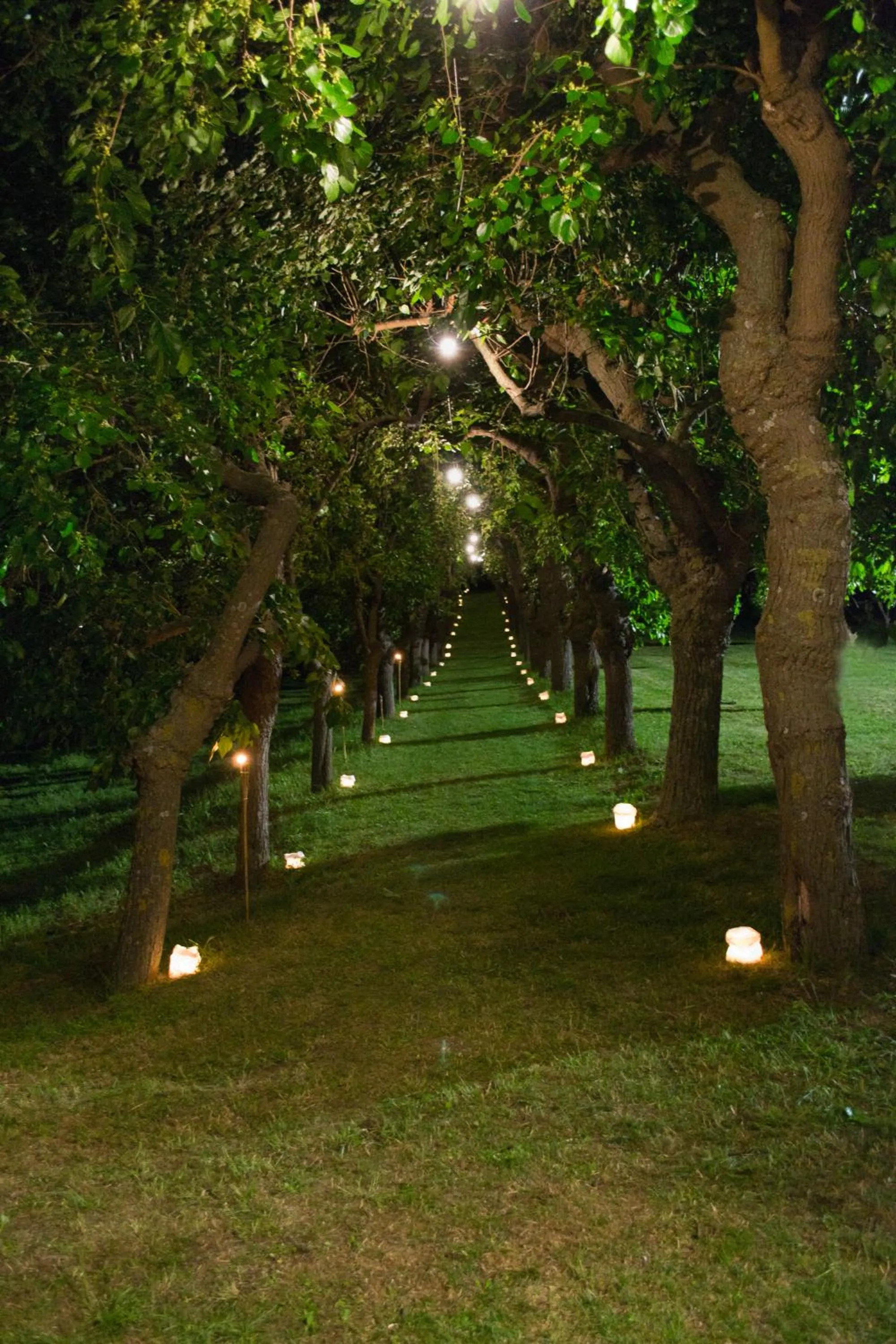 Garden in Collina dei Poeti