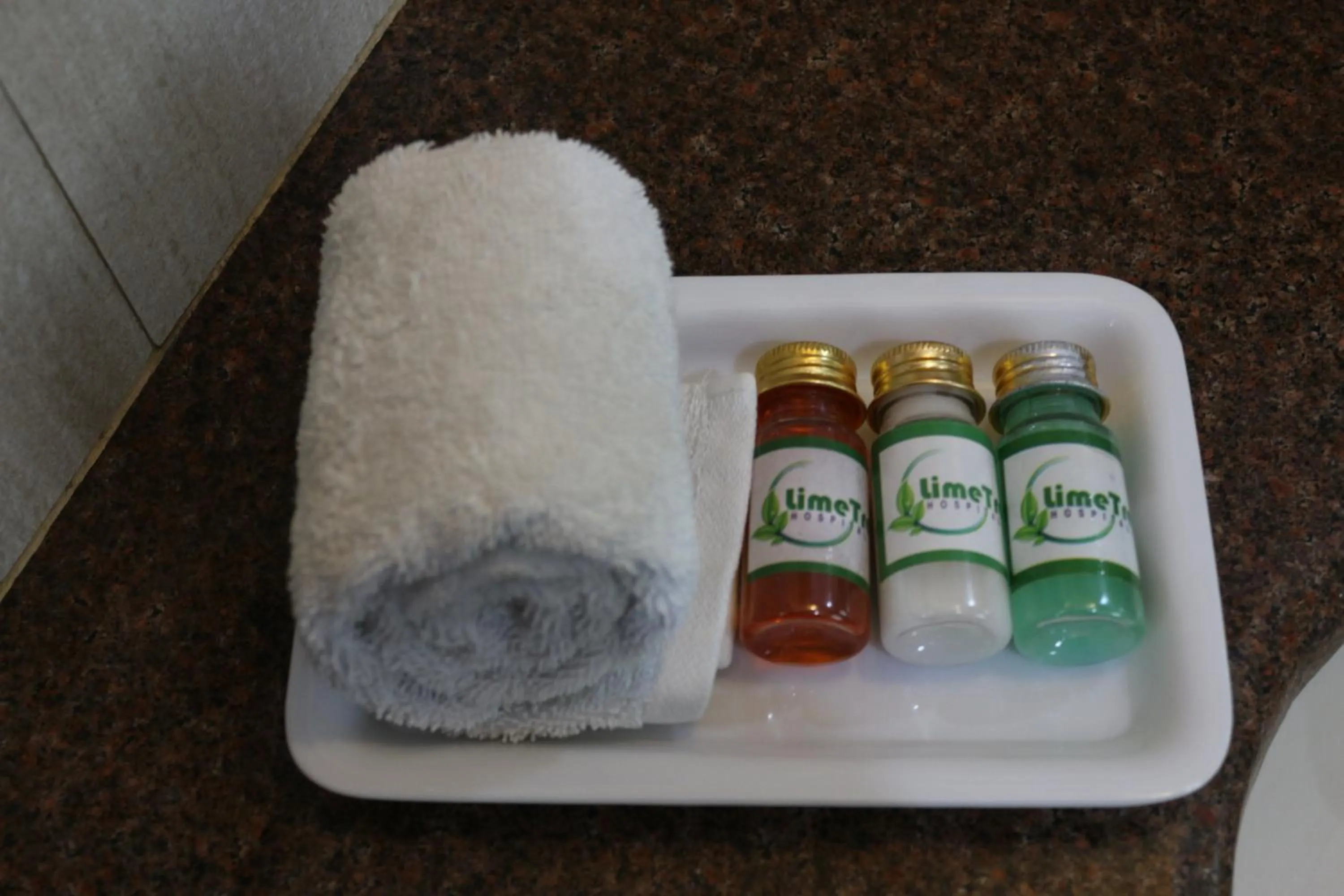 Property building in Lime Tree Hotel Sushant Lok Gurgaon Sector 29 Next to IFFCO CHOWK metro