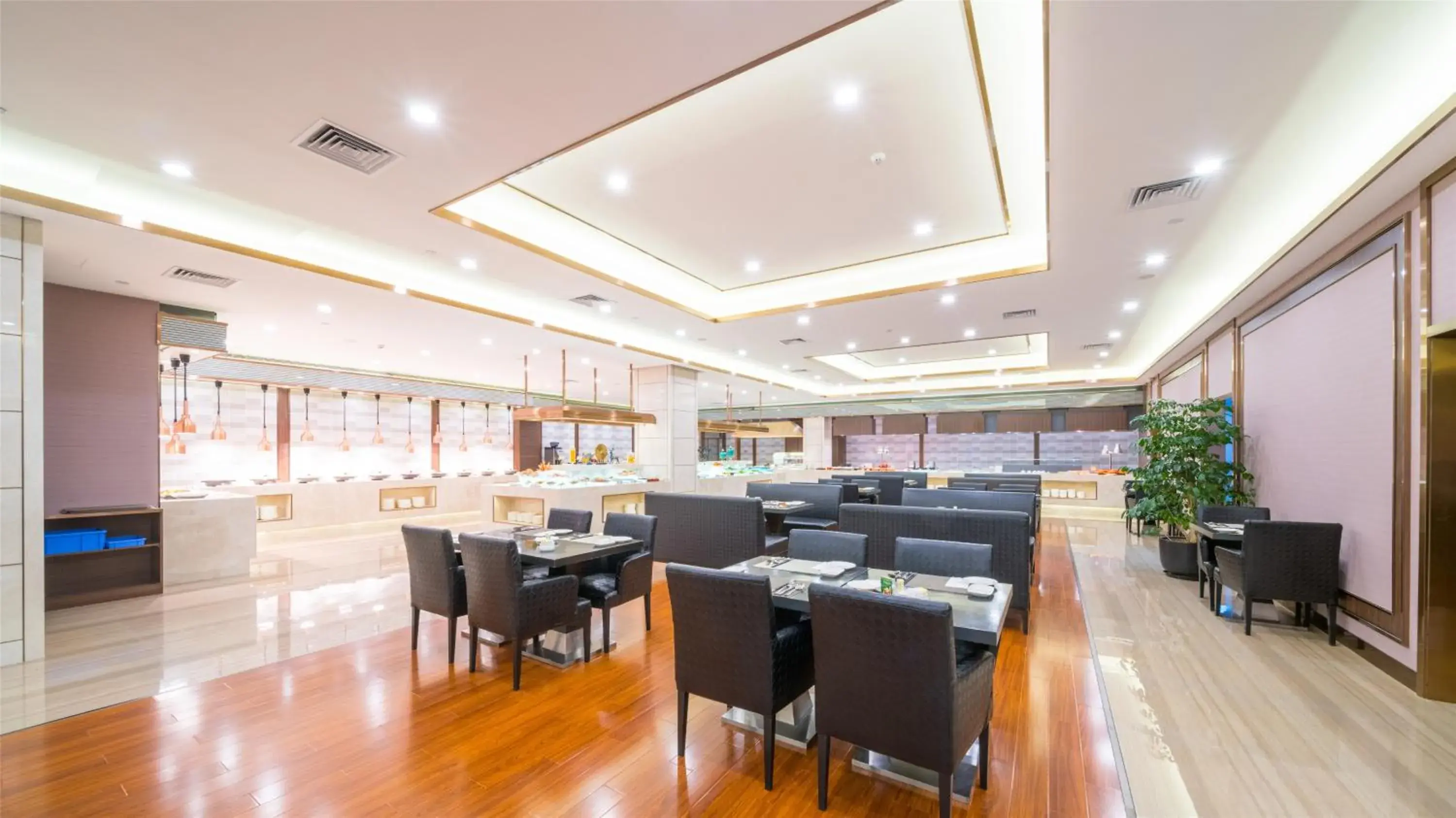 Restaurant/places to eat in Millennium Harbourview Hotel Xiamen-Near Metro Station & Zhongshan Road Restaurant/places to eat in Millennium Harbourview Hotel Xiamen-Near Metro Station & Zhongshan Road