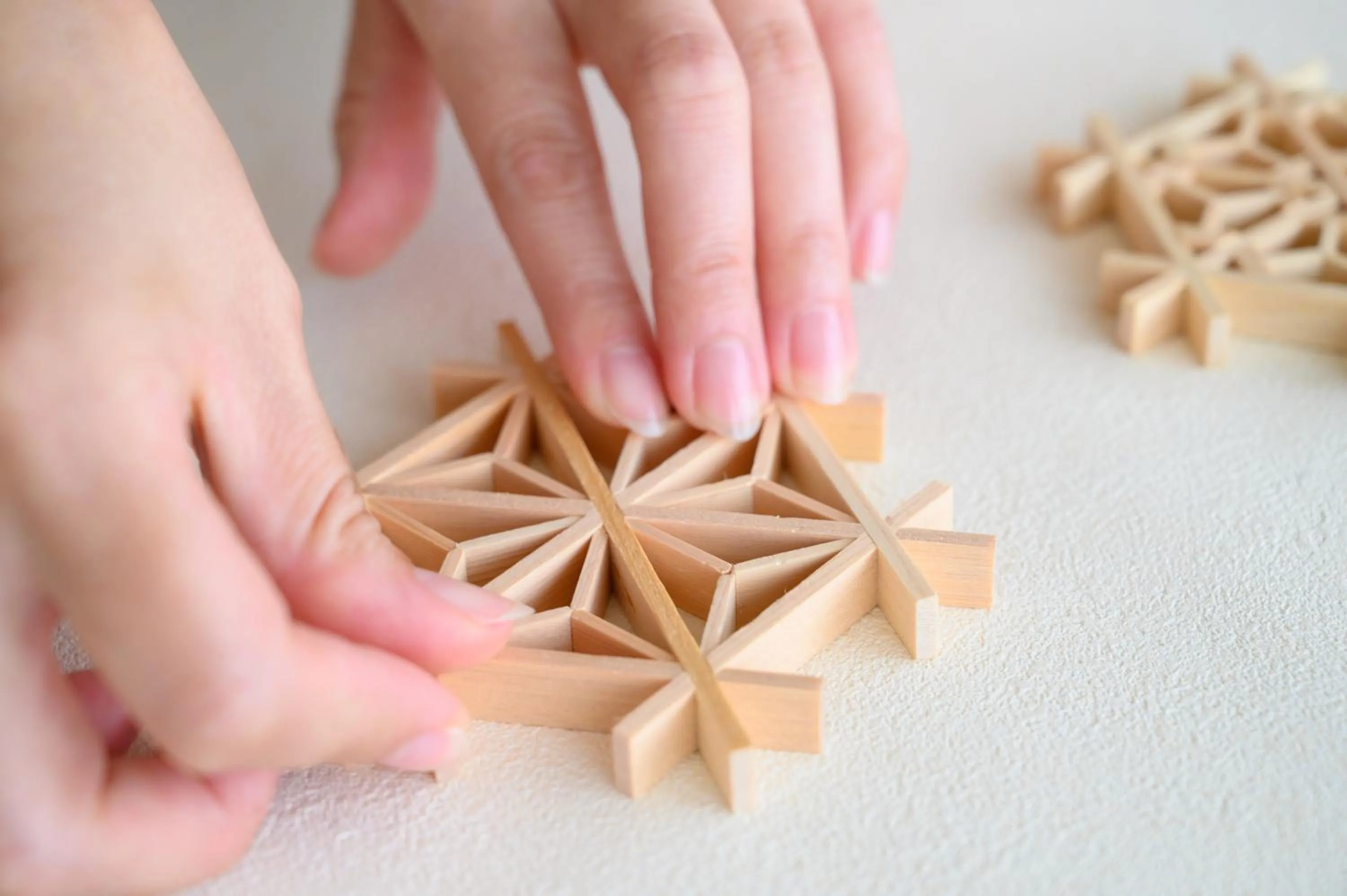 Activities in Toba International Hotel Shiojitei