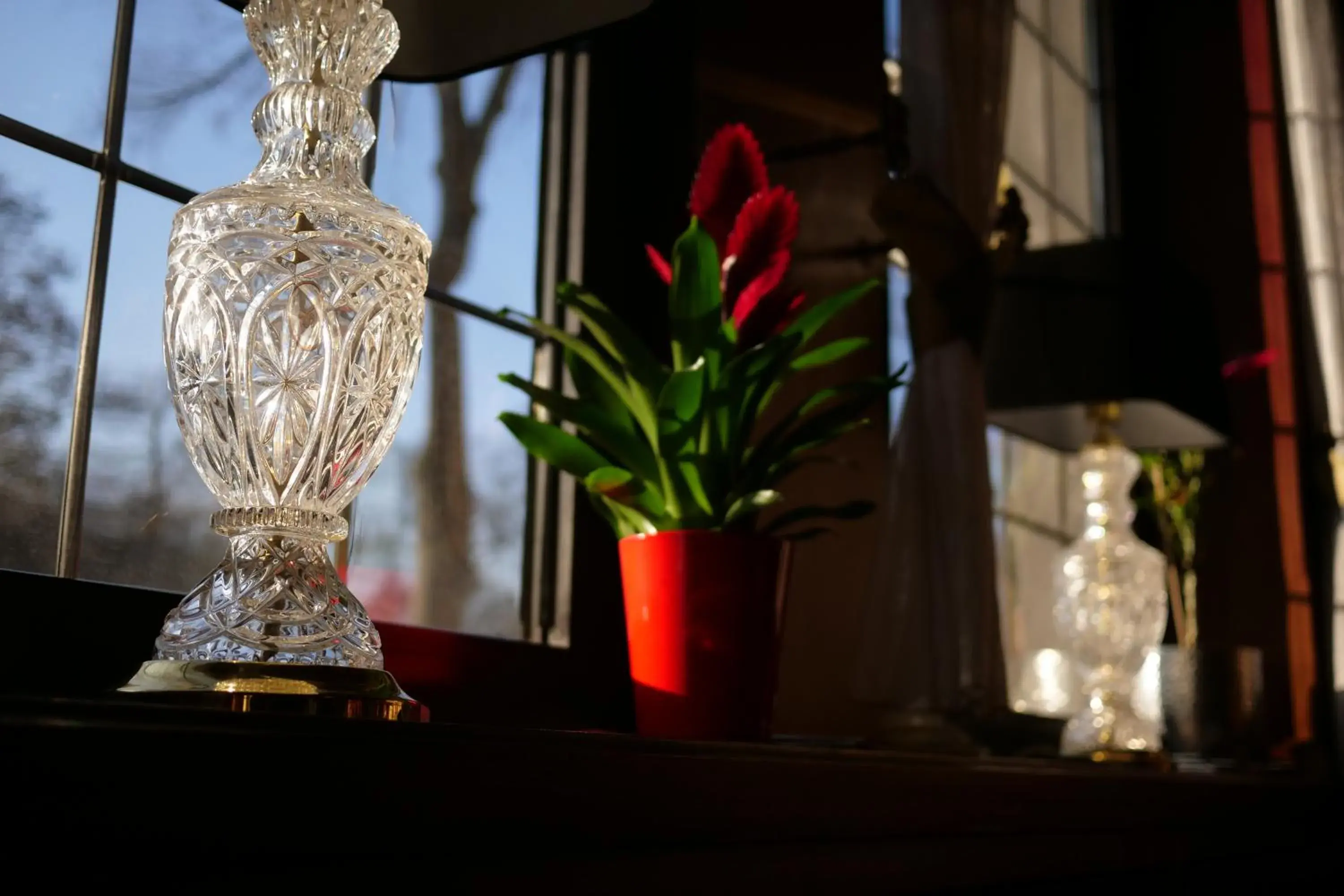 View (from property/room) in Parkhotel Bergheim View (from property/room) in Parkhotel Bergheim