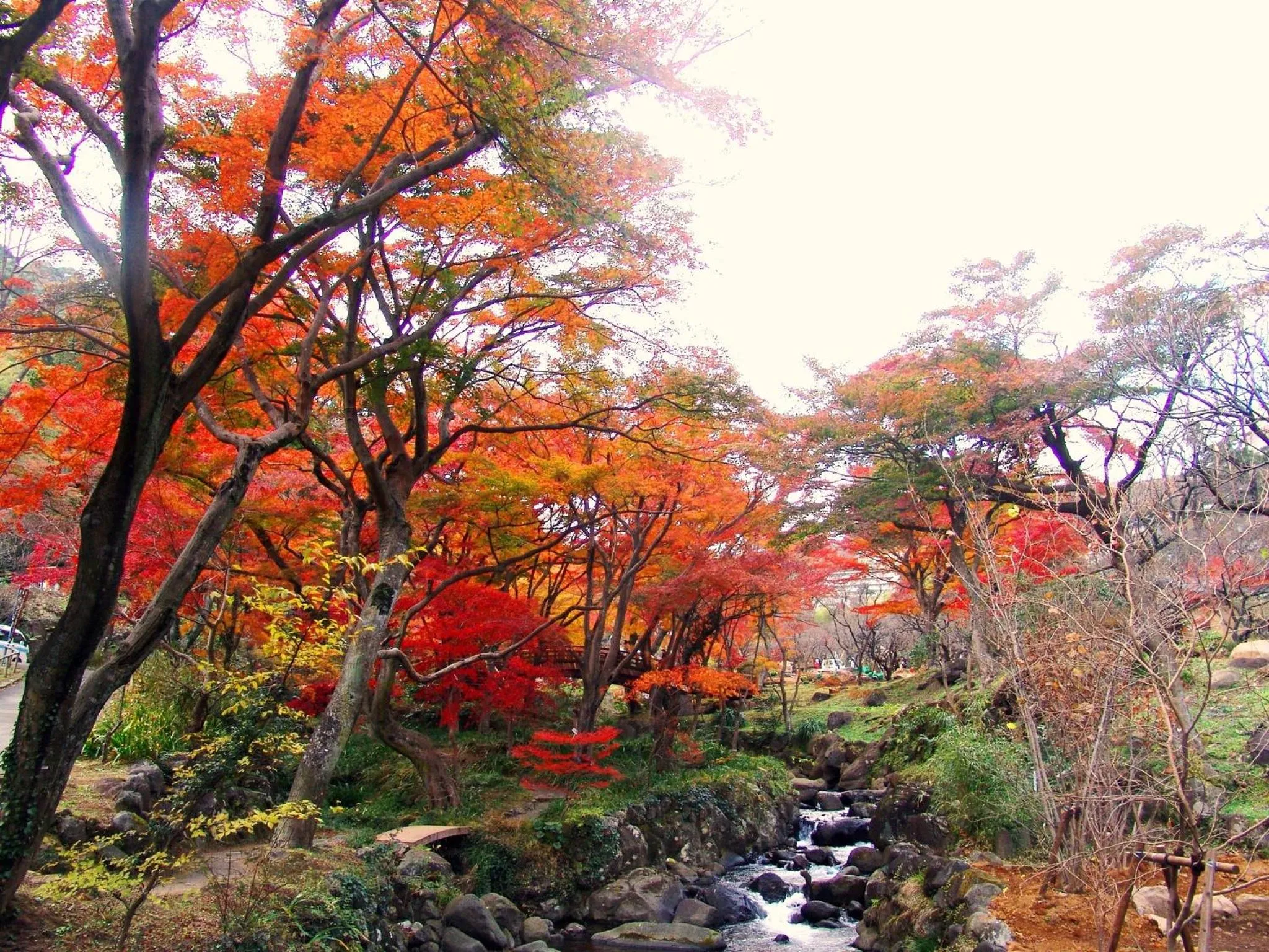 Nearby landmark in Hotel Resorpia Atami