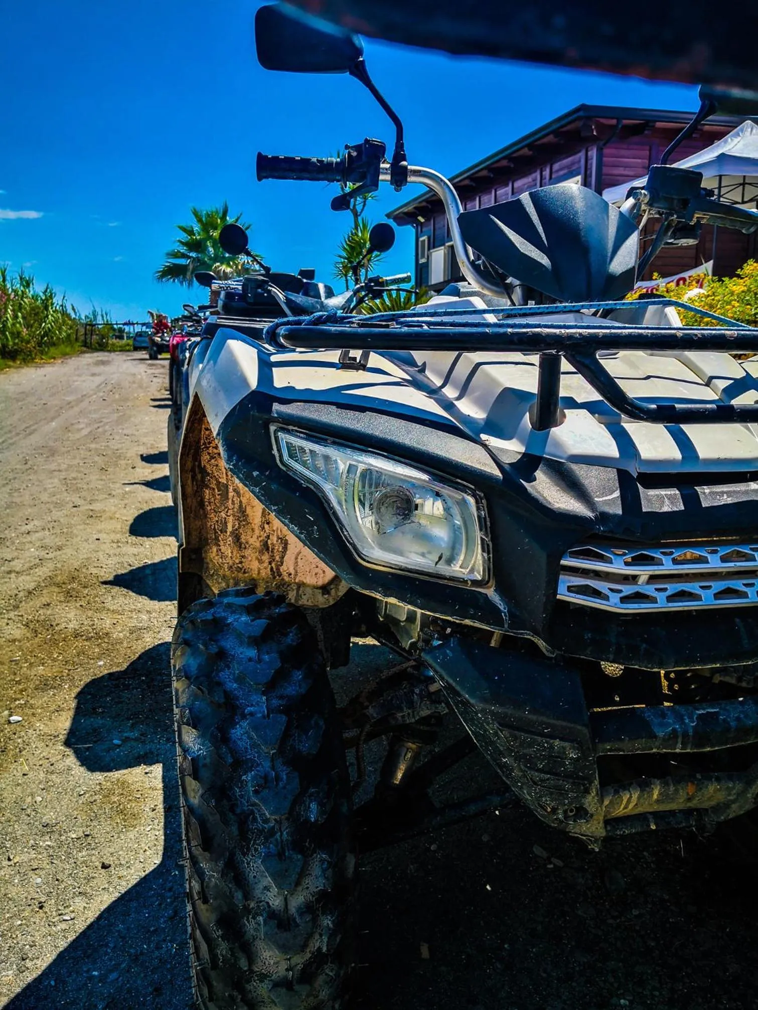 Hiking in Bed & Breakfast Domus Pepe Scalea