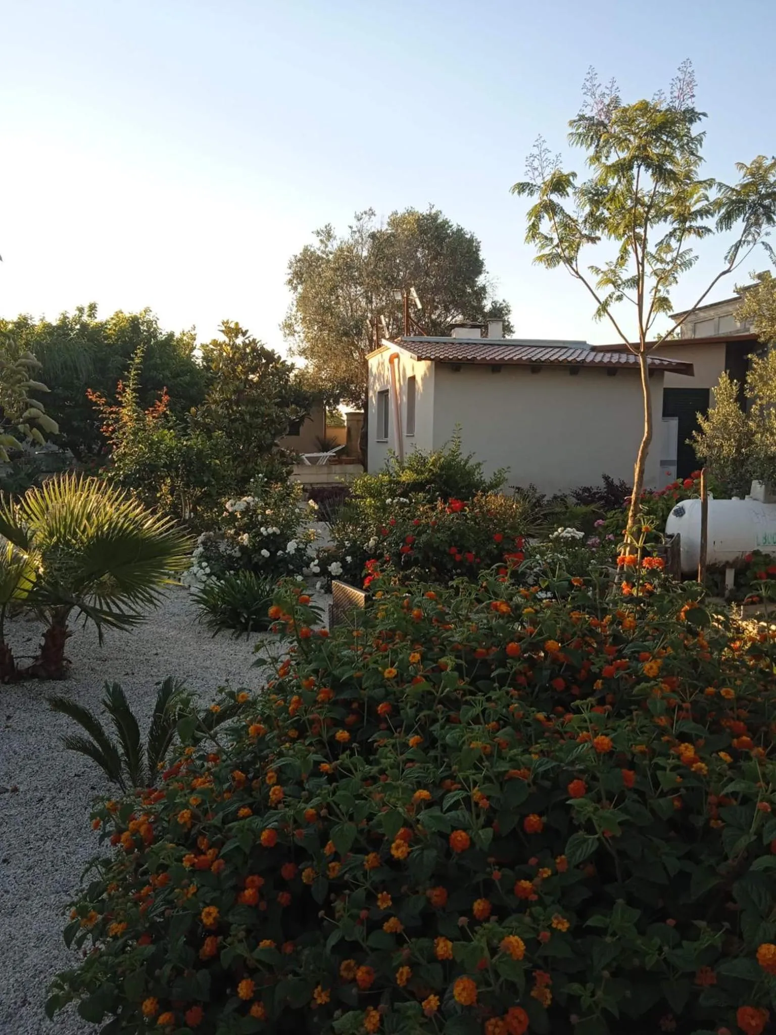 Garden in B&B Le Carrube