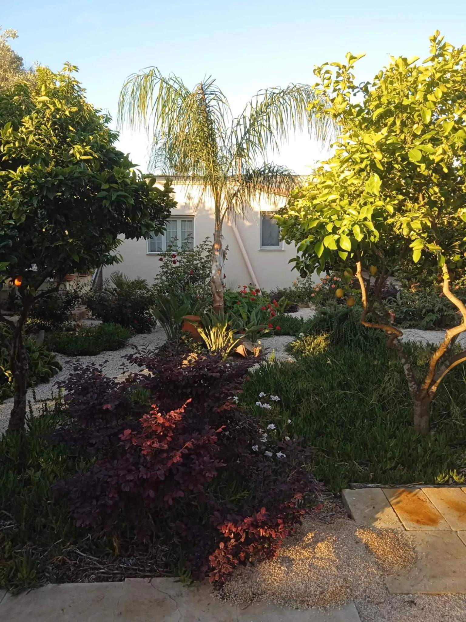 Garden in B&B Le Carrube