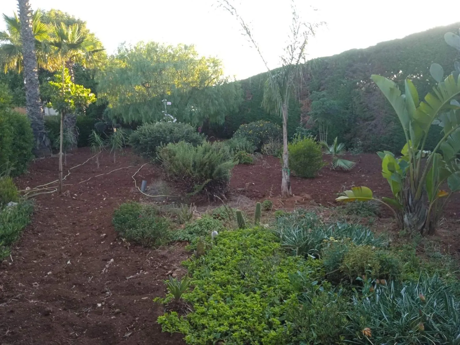 Garden view in B&B Le Carrube