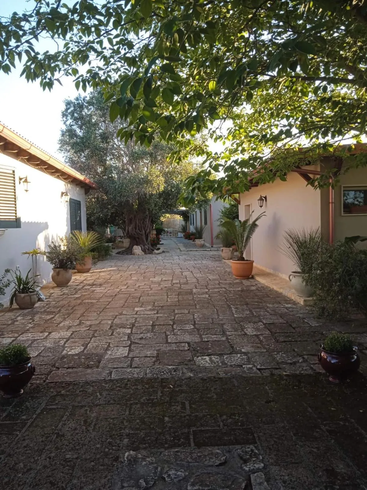 Property building in B&B Le Carrube