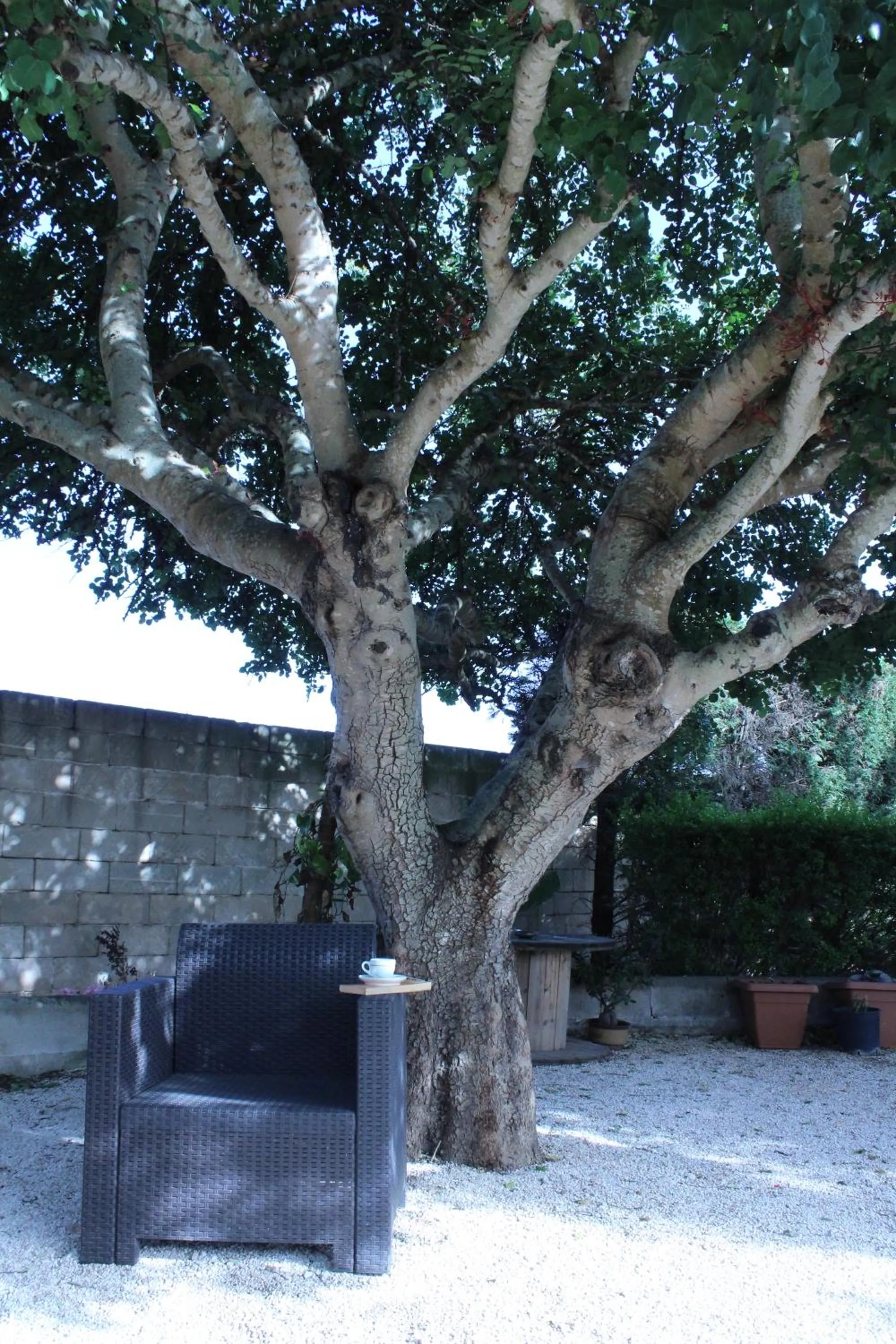 Garden in B&B Le Carrube