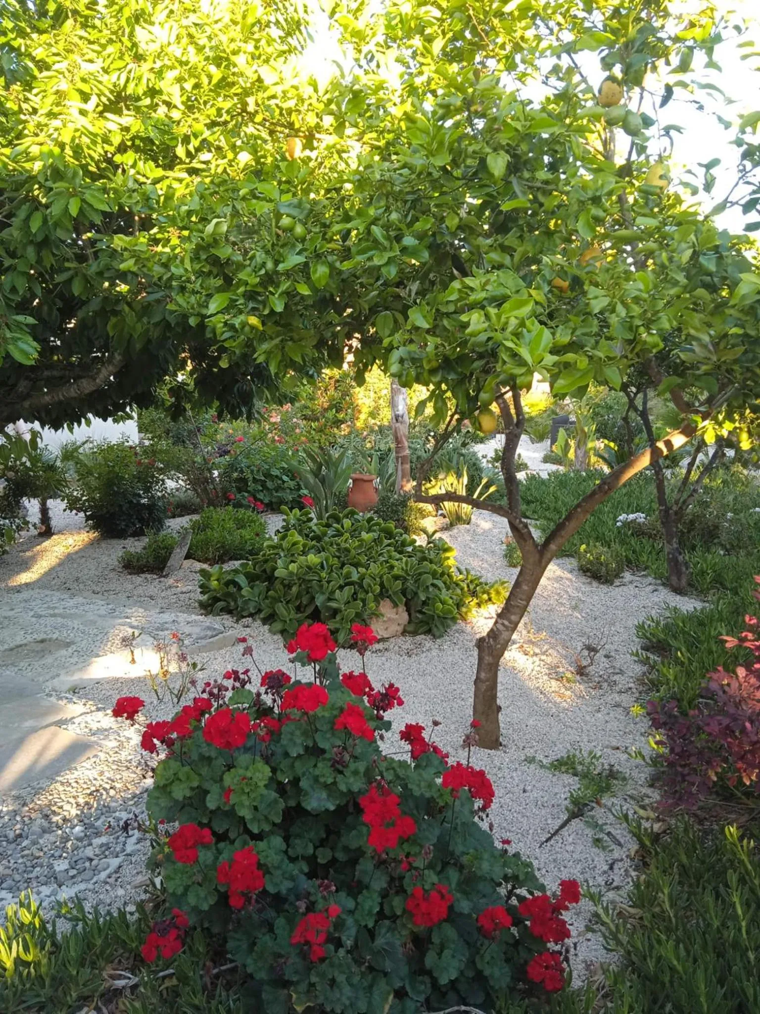 Garden in B&B Le Carrube