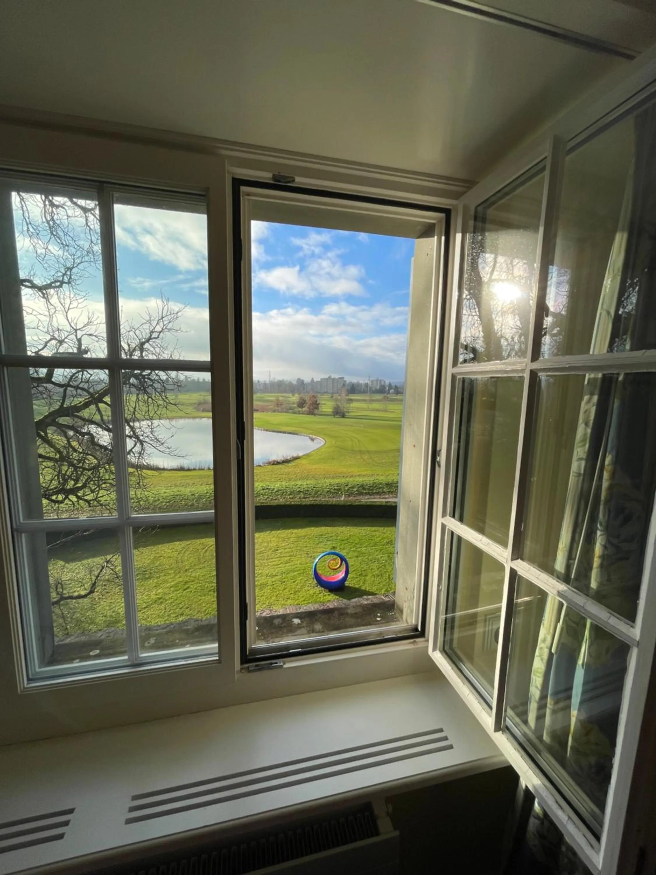 Natural landscape in Parkforum Wylihof