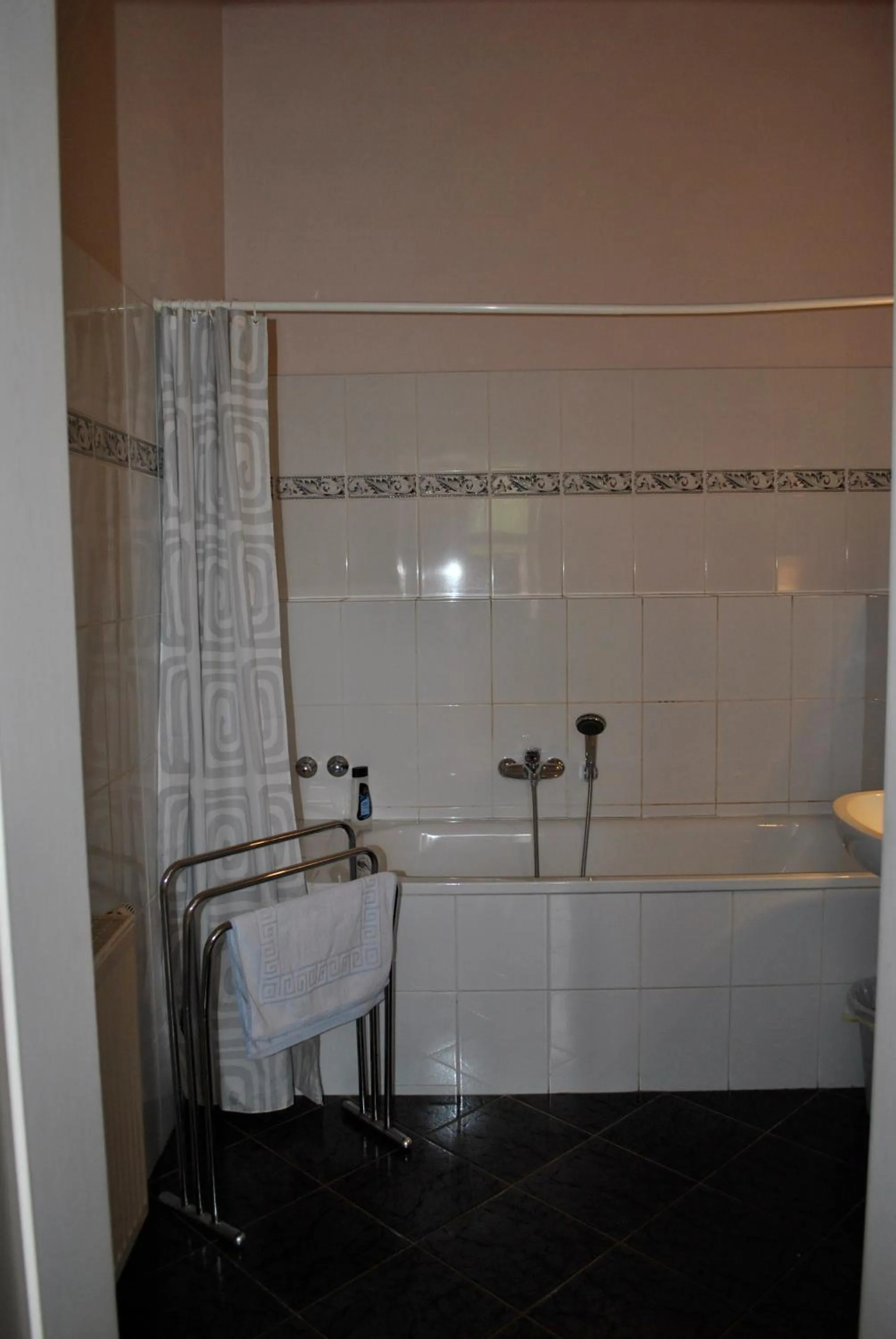 Bathroom in Schloss Triestewitz