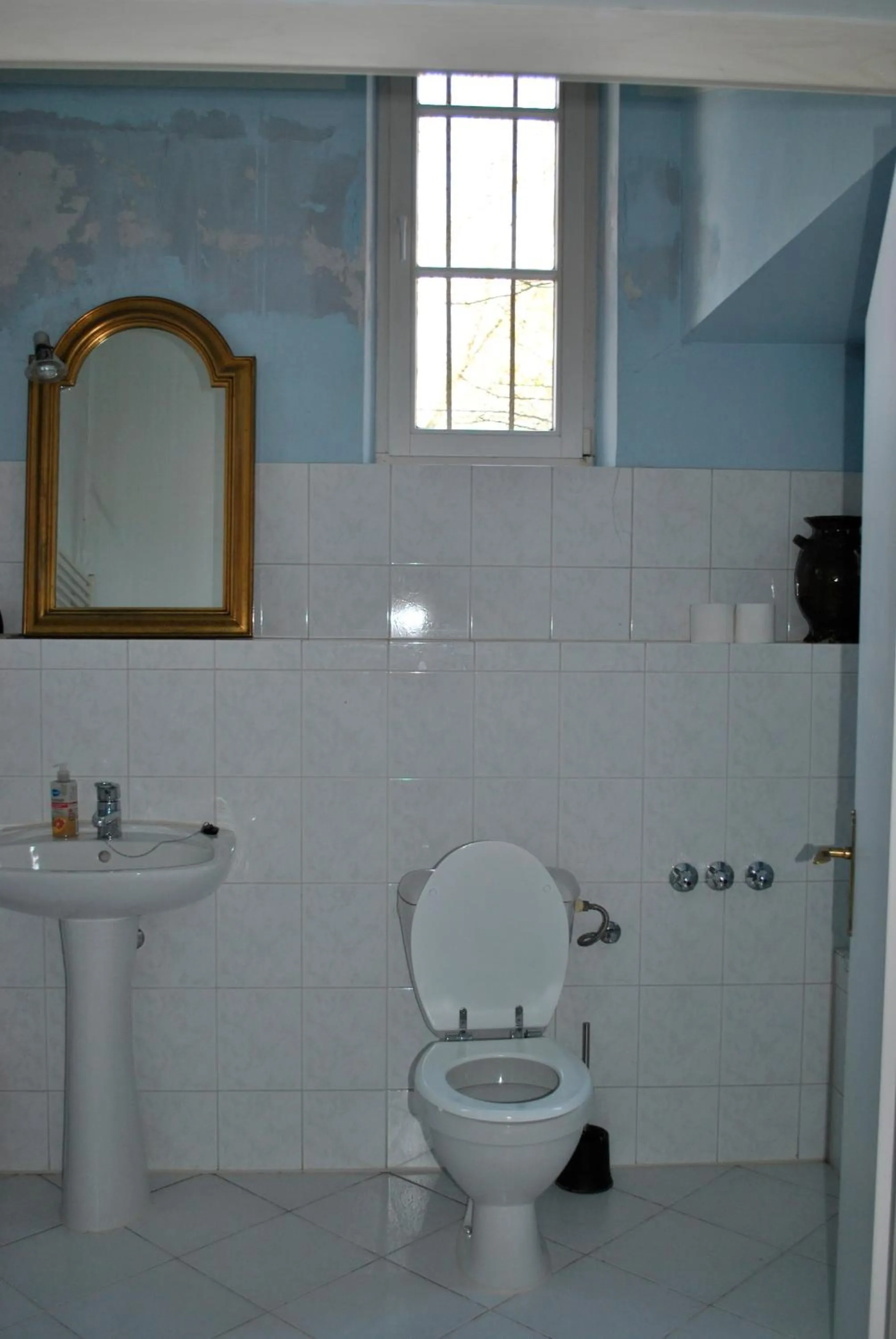 Toilet in Schloss Triestewitz