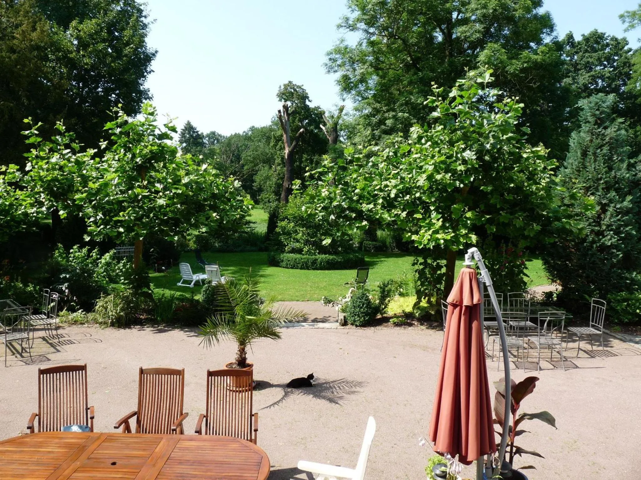 Garden view in Schloss Triestewitz