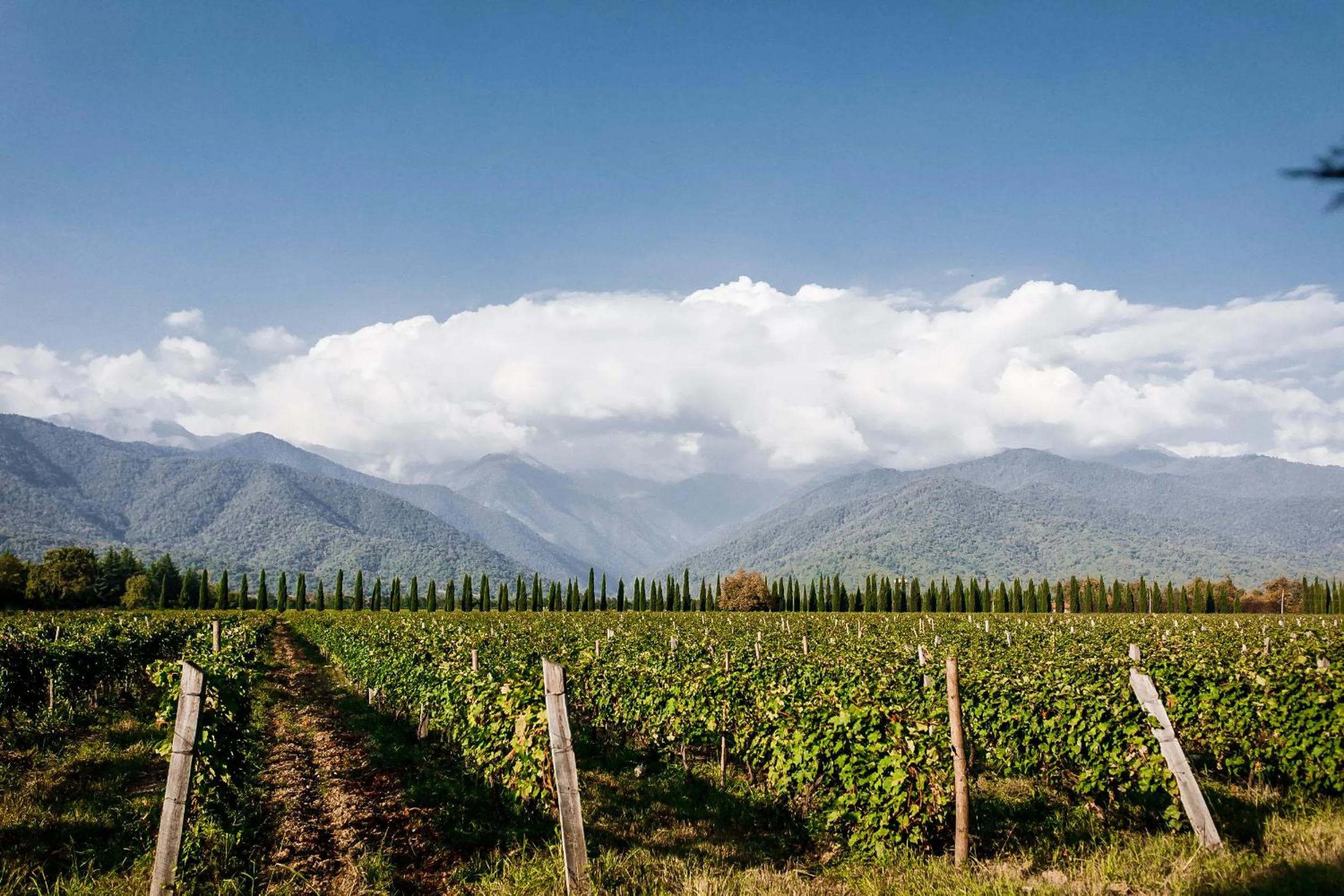 Other in Chateau Artwine