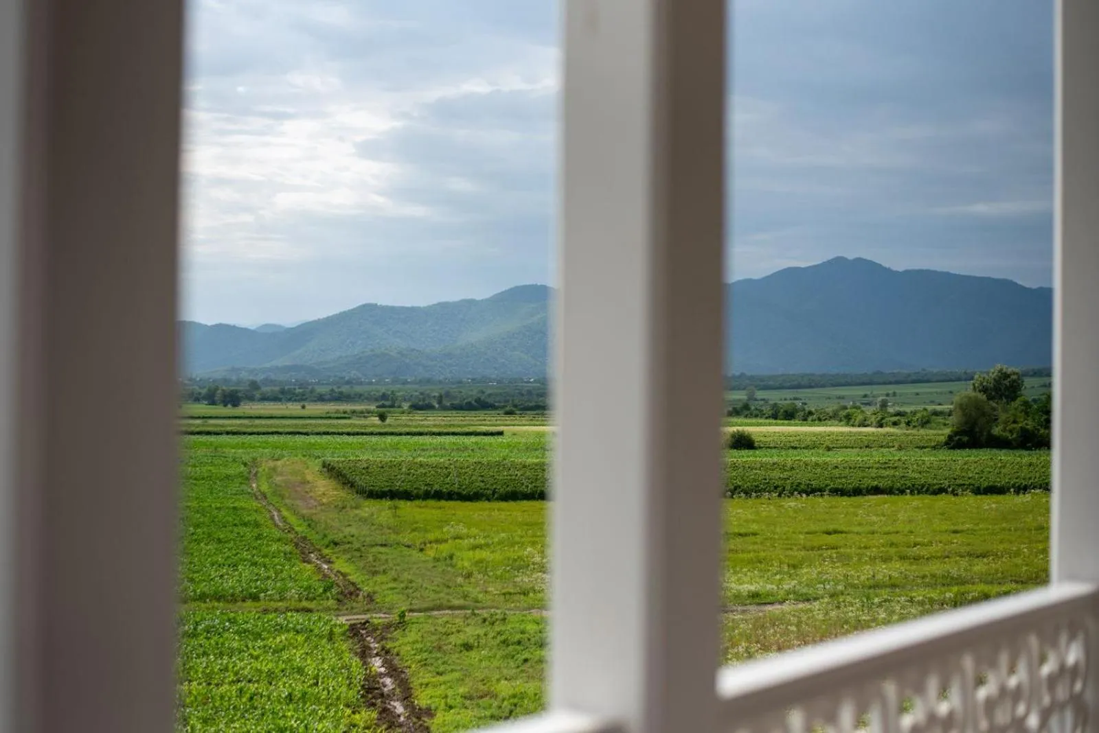 Natural landscape in Chateau Artwine