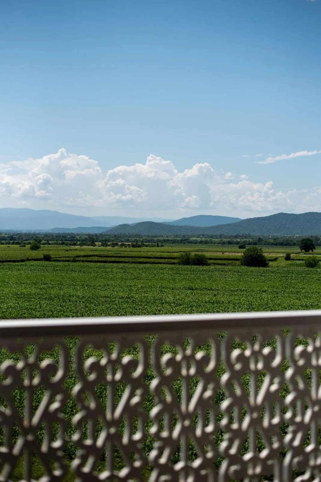 View (from property/room) in Chateau Artwine