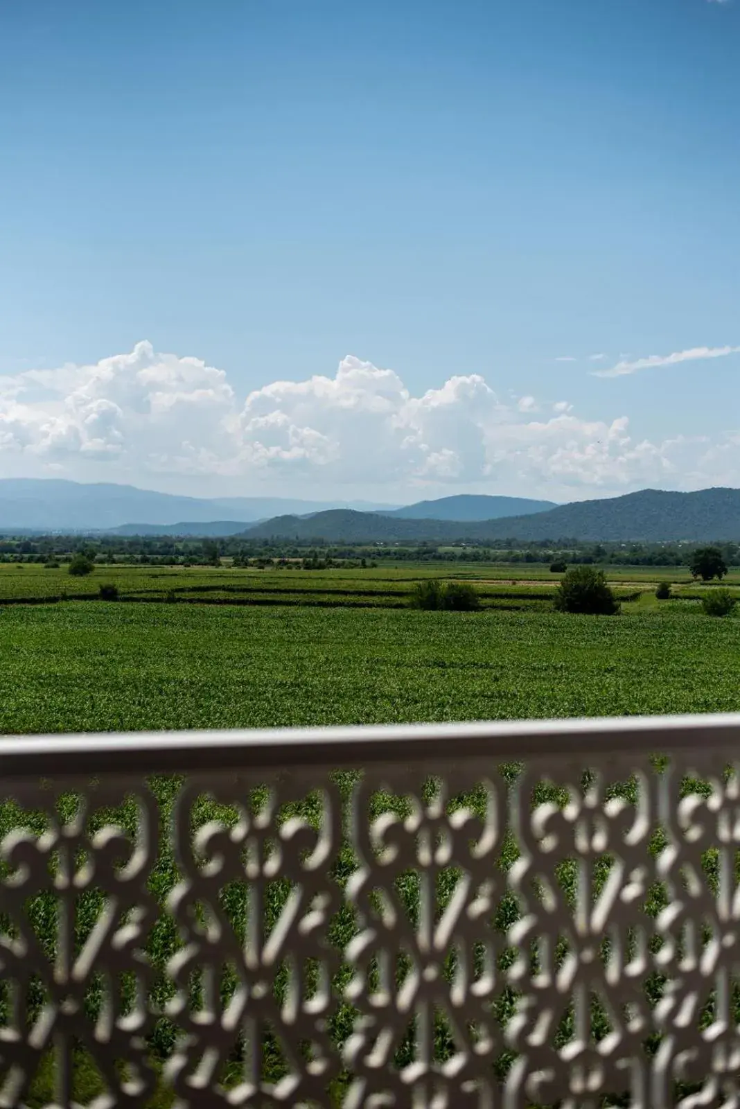 View (from property/room) in Chateau Artwine View (from property/room) in Chateau Artwine