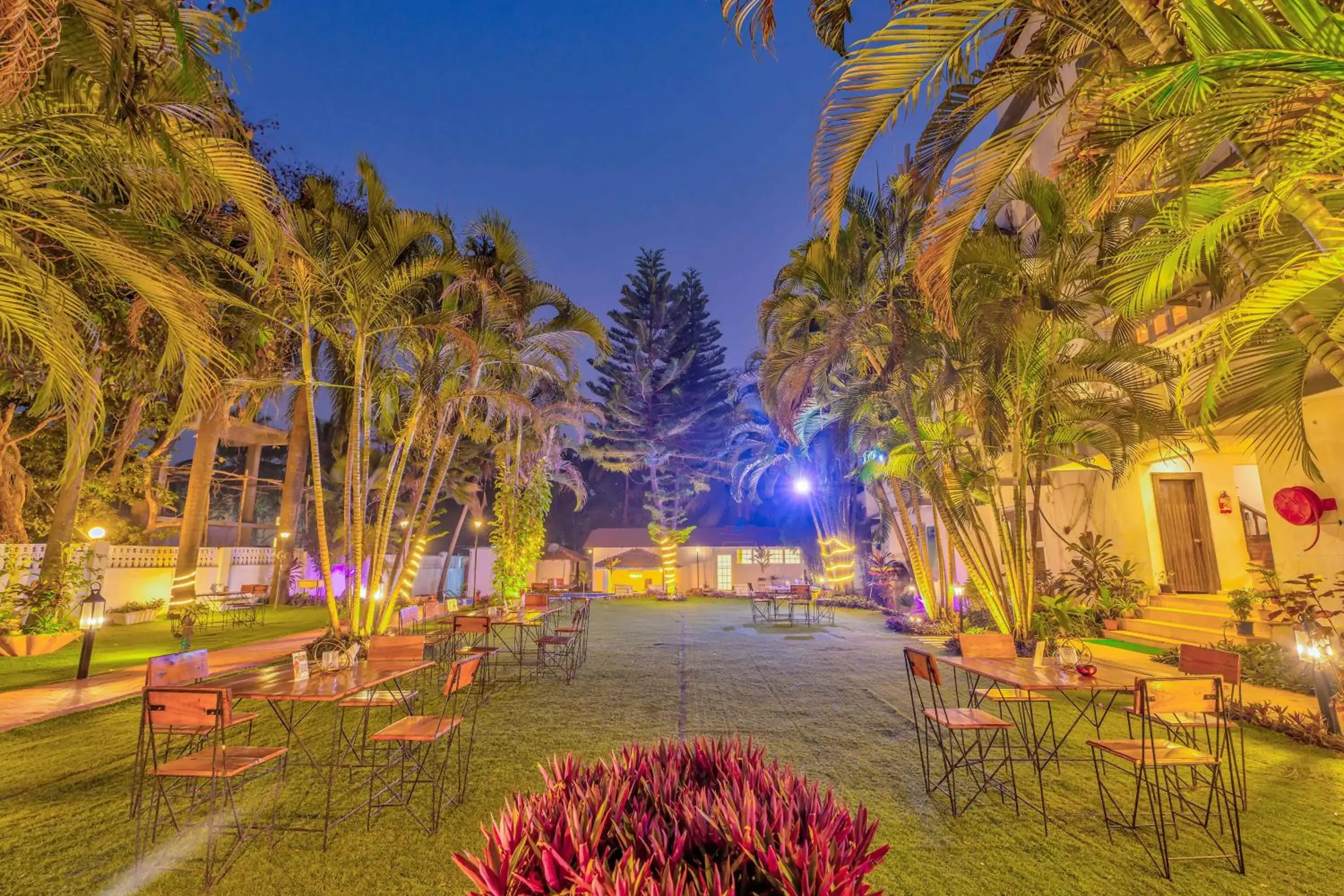 Restaurant/places to eat in The Boho, Vagator Beach Goa Near Thalassa Restaurant/places to eat in The Boho, Vagator Beach Goa Near Thalassa