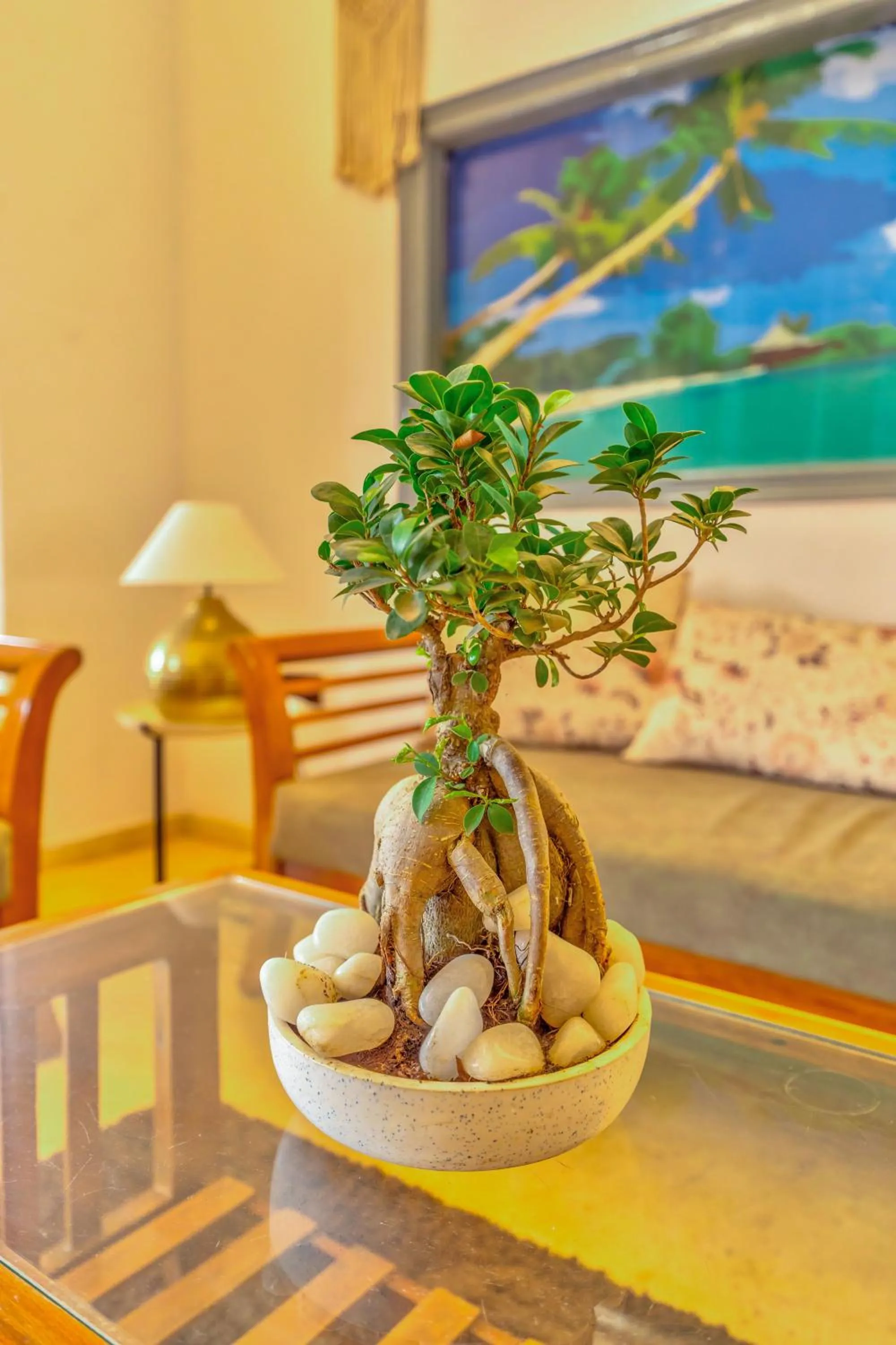 Communal lounge/ TV room in The Boho, Vagator Beach Goa Near Thalassa