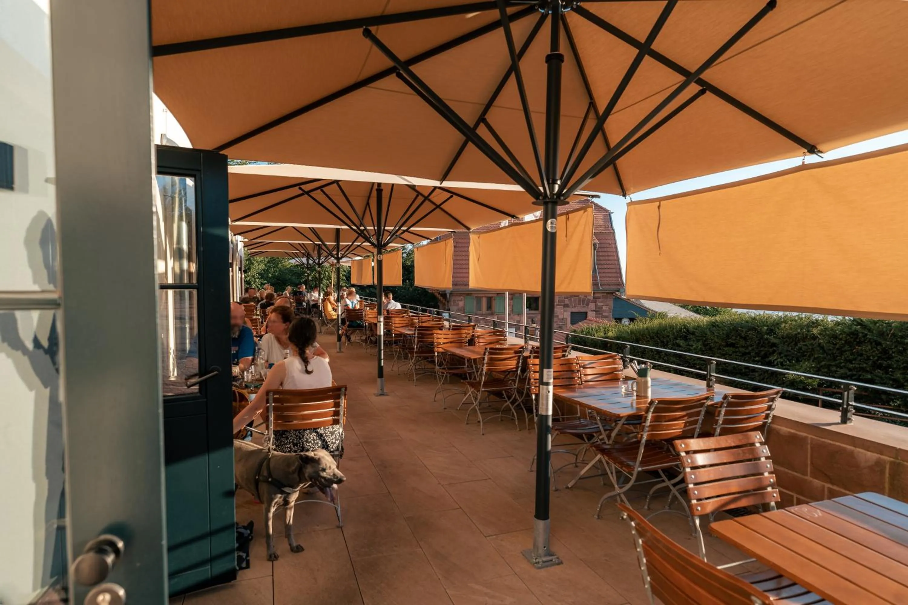 Restaurant/places to eat in Berggasthof Königstuhl